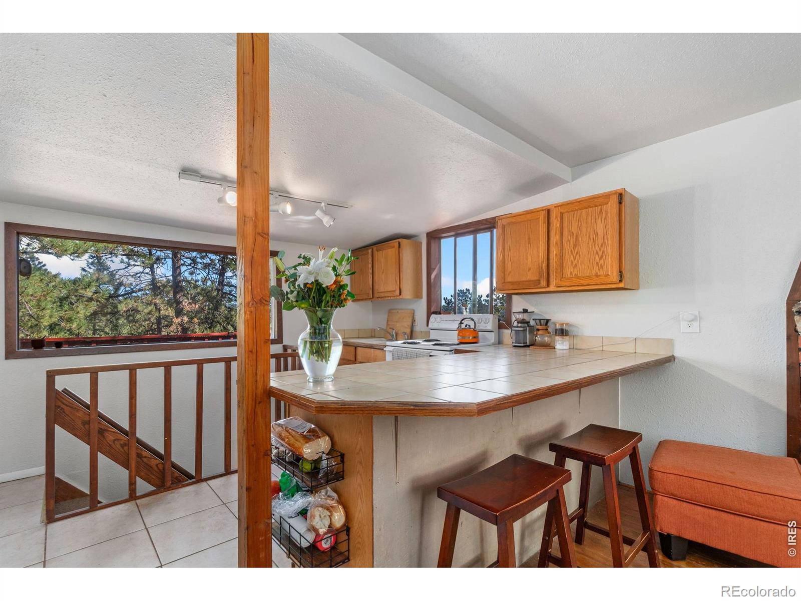 MLS Image #6 for 3055  yucca drive,evergreen, Colorado