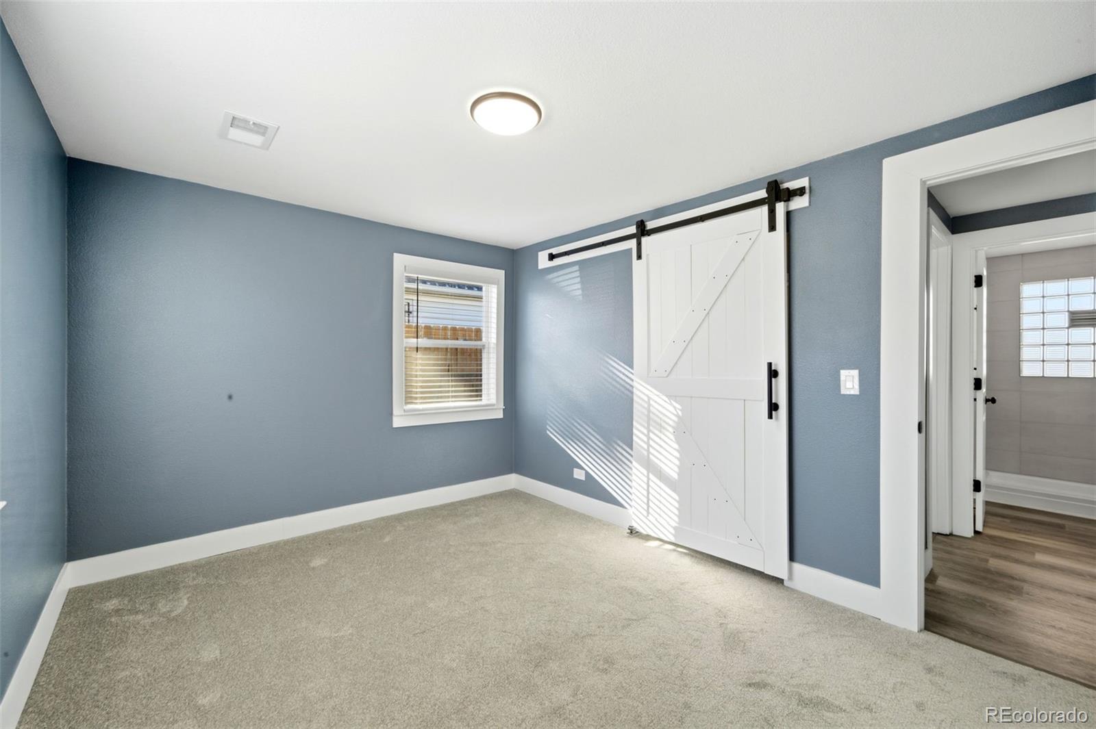 MLS Image #12 for 4933  steele street,denver, Colorado
