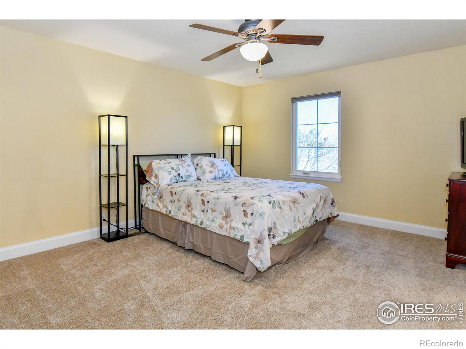 MLS Image #15 for 455  saint charles place,johnstown, Colorado