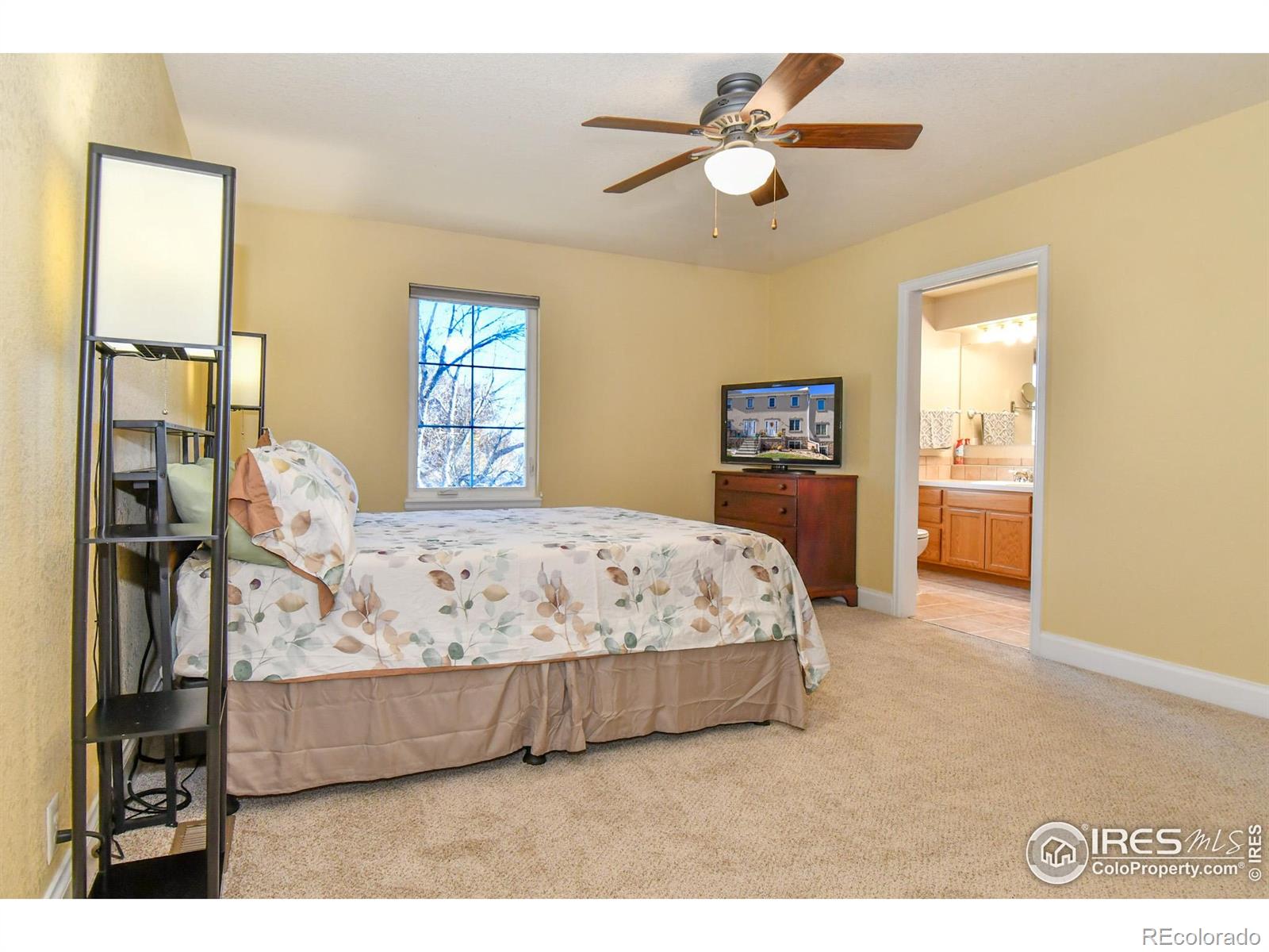 MLS Image #16 for 455  saint charles place,johnstown, Colorado