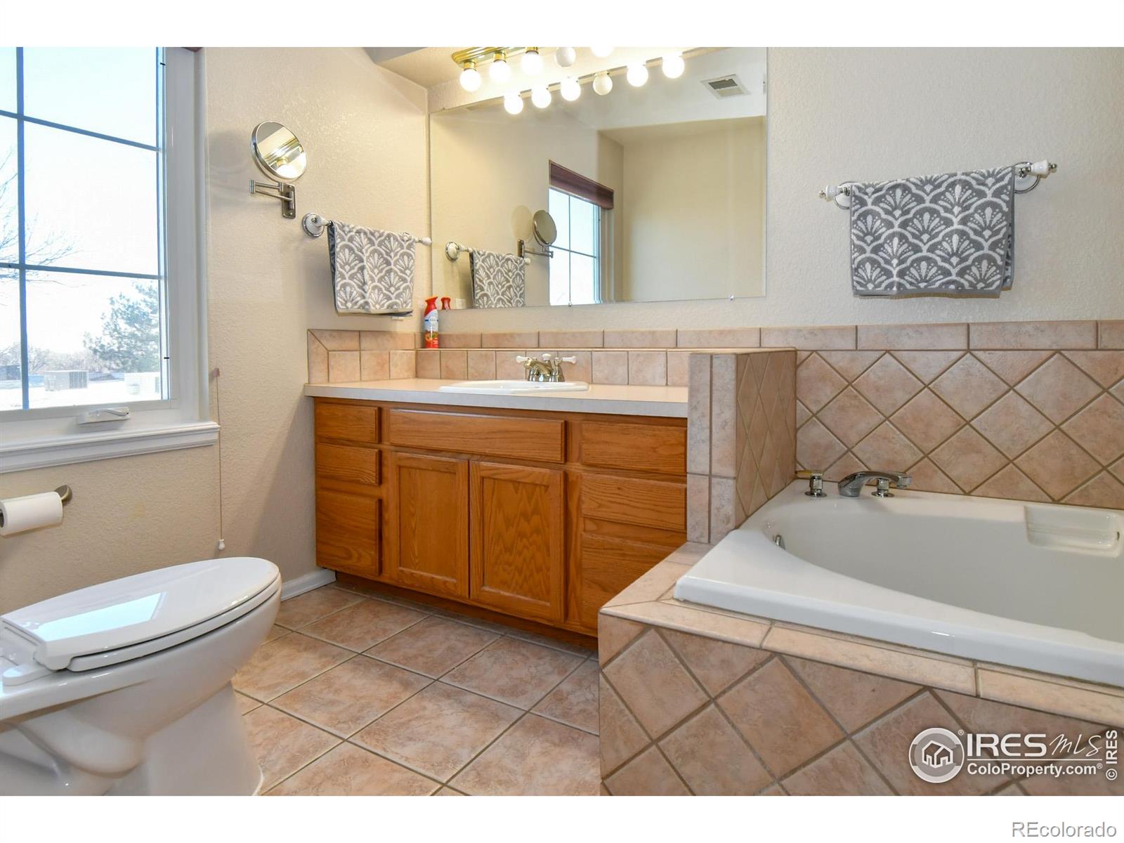 MLS Image #18 for 455  saint charles place,johnstown, Colorado