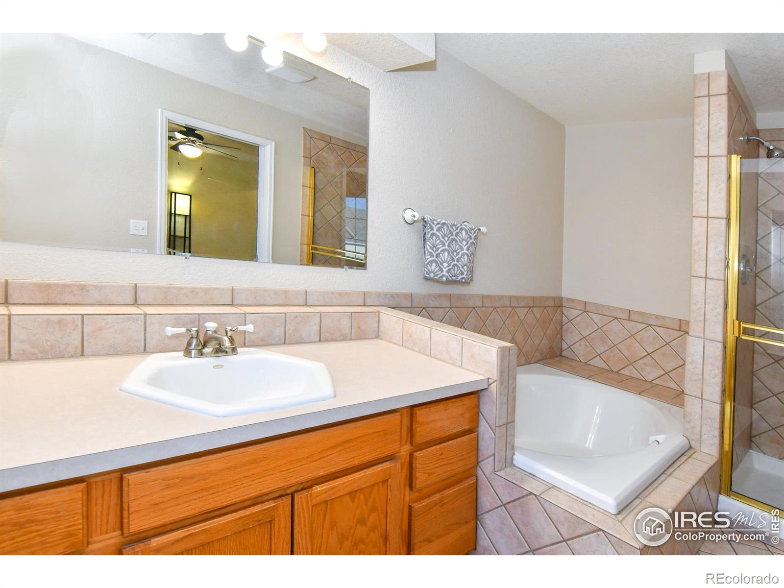MLS Image #19 for 455  saint charles place,johnstown, Colorado