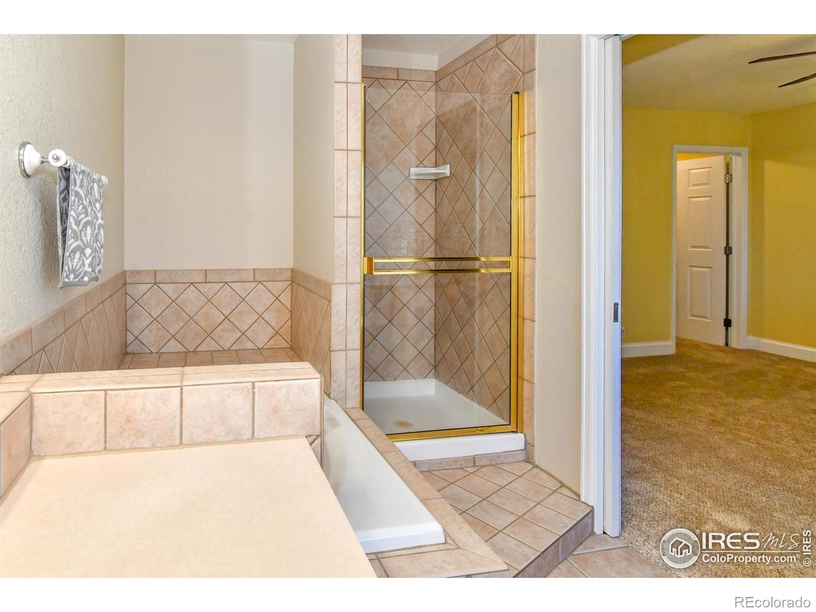 MLS Image #20 for 455  saint charles place,johnstown, Colorado