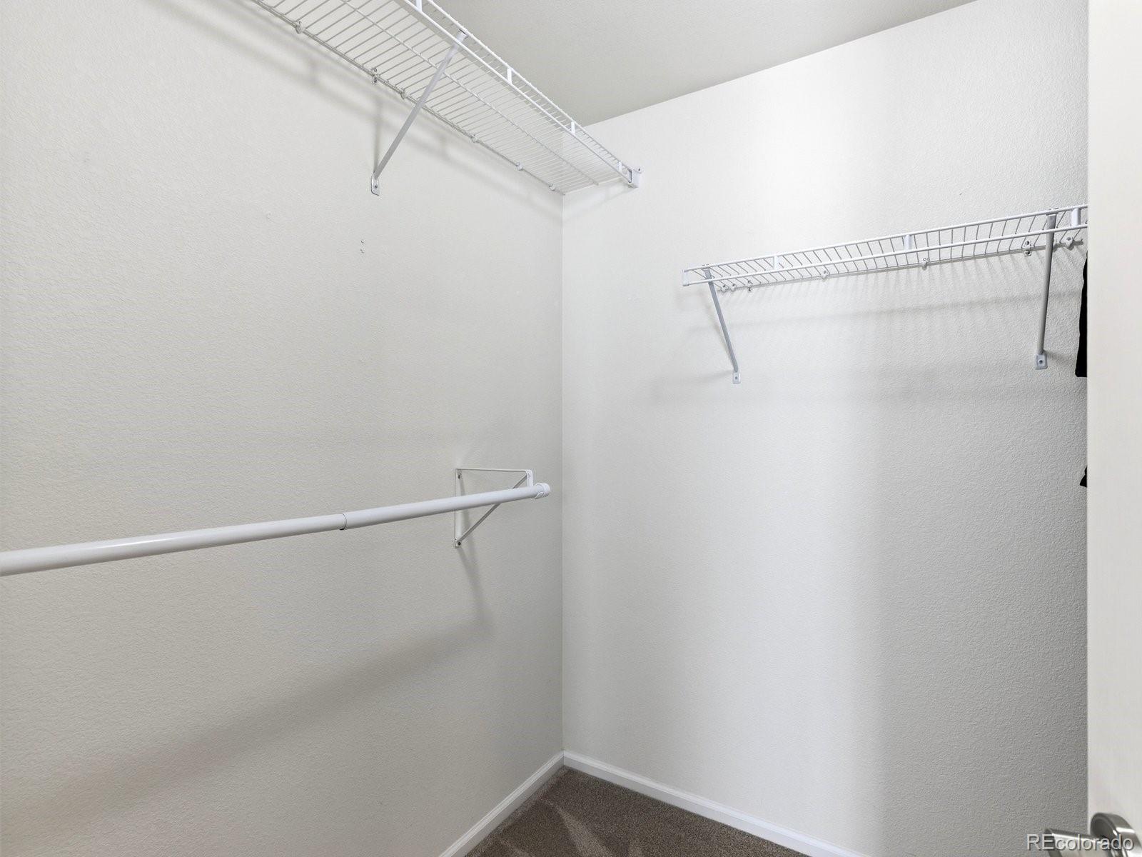 MLS Image #16 for 7706  mule deer place,littleton, Colorado