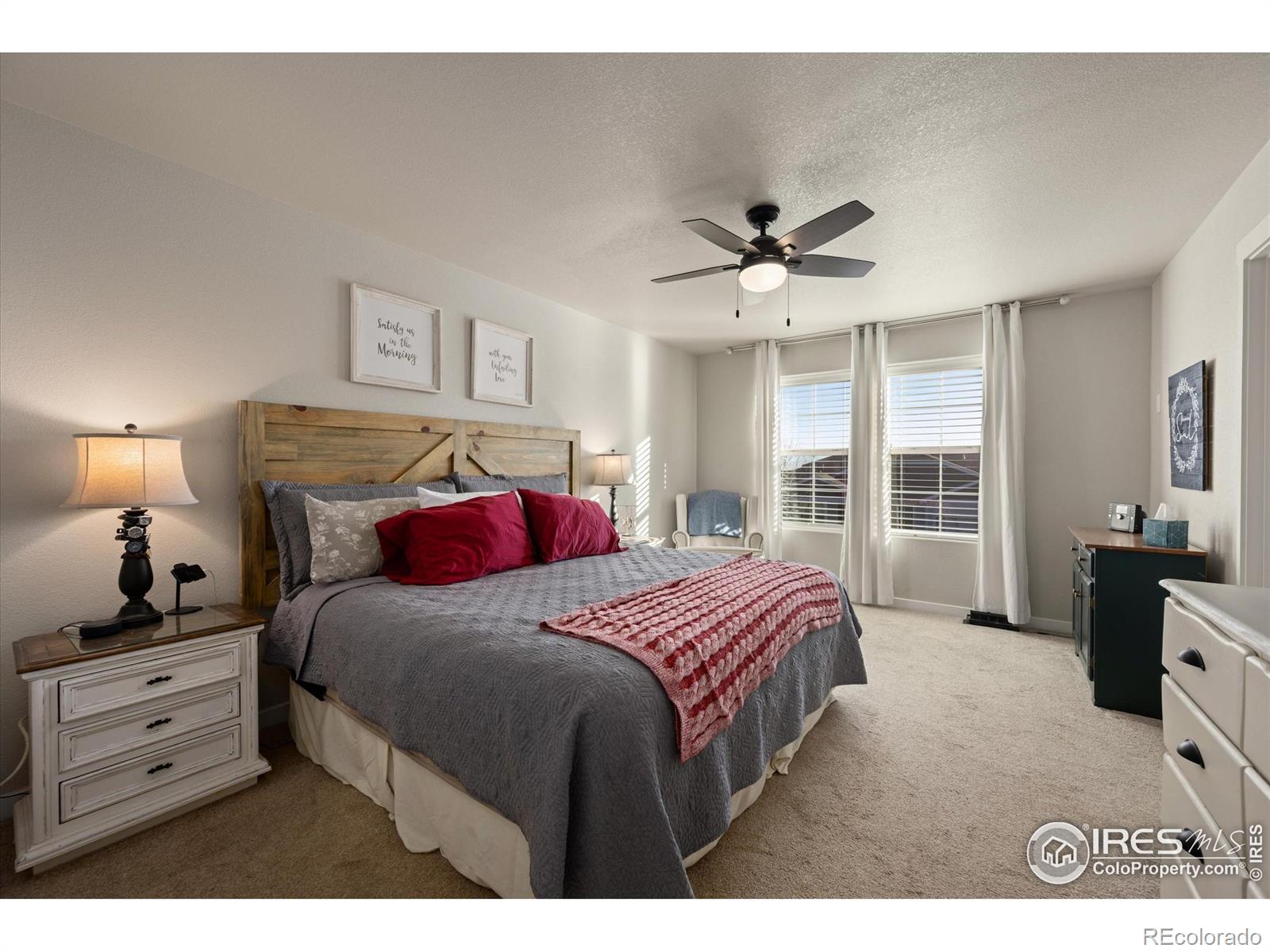 MLS Image #18 for 946  tail water drive,windsor, Colorado