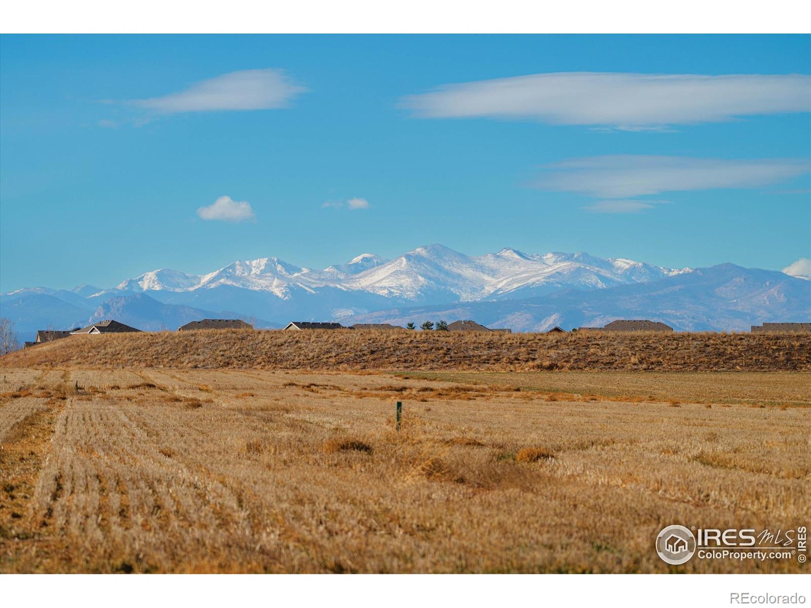 MLS Image #2 for 946  tail water drive,windsor, Colorado