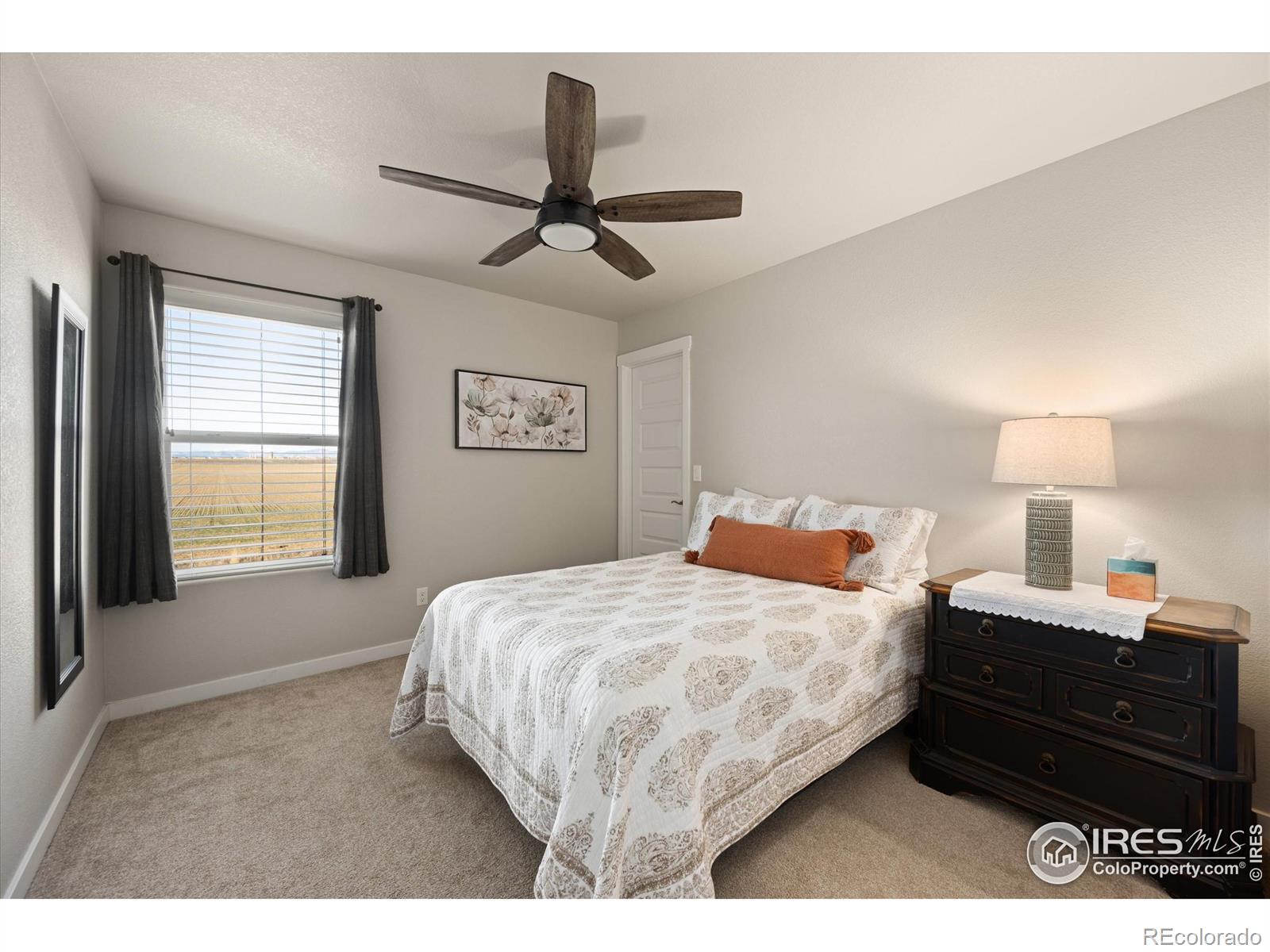 MLS Image #21 for 946  tail water drive,windsor, Colorado