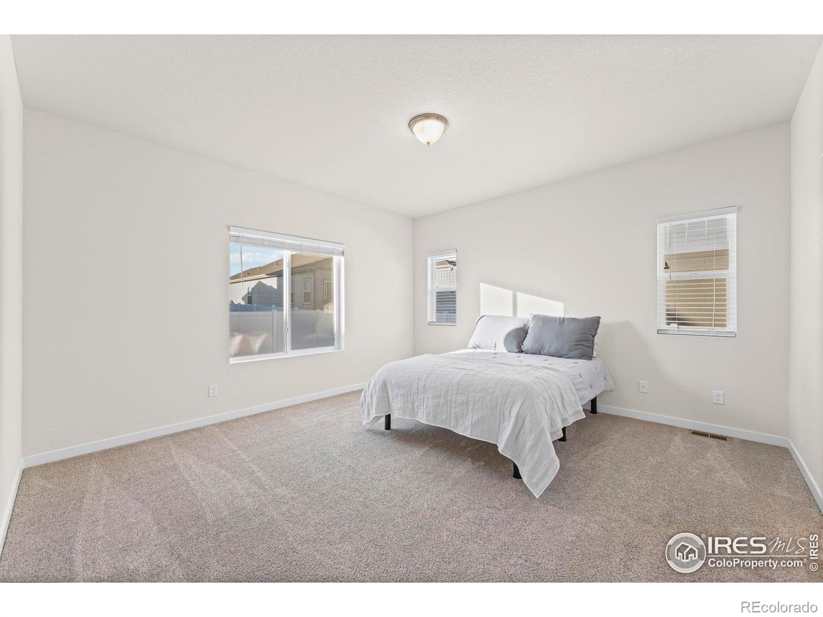 MLS Image #16 for 1139  ibex drive,severance, Colorado