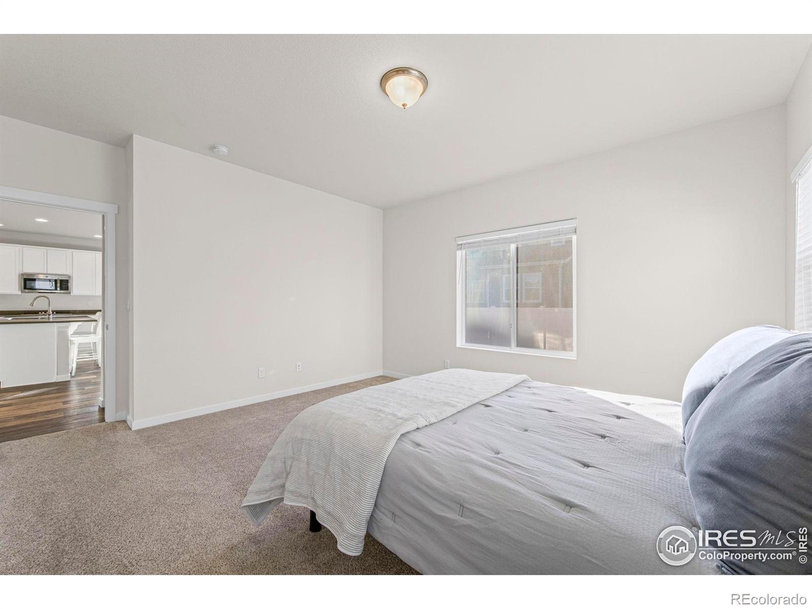 MLS Image #19 for 1139  ibex drive,severance, Colorado