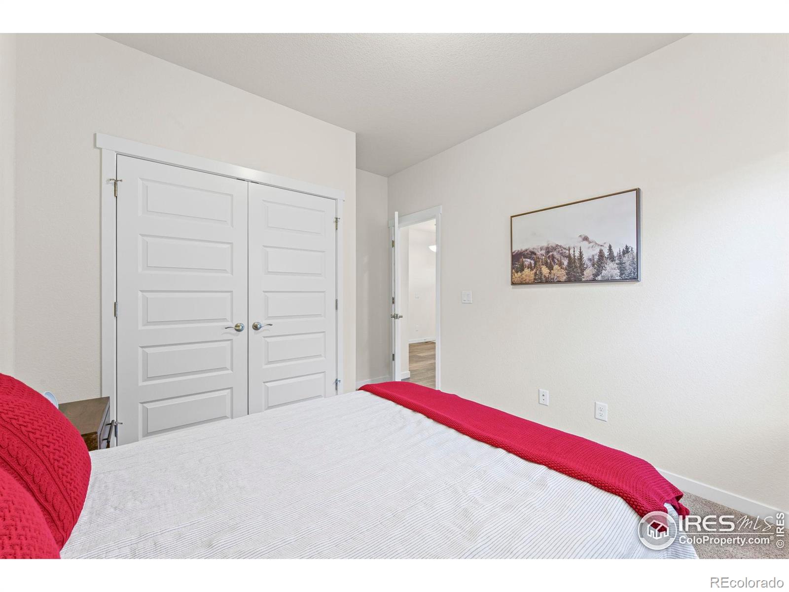 MLS Image #23 for 1139  ibex drive,severance, Colorado