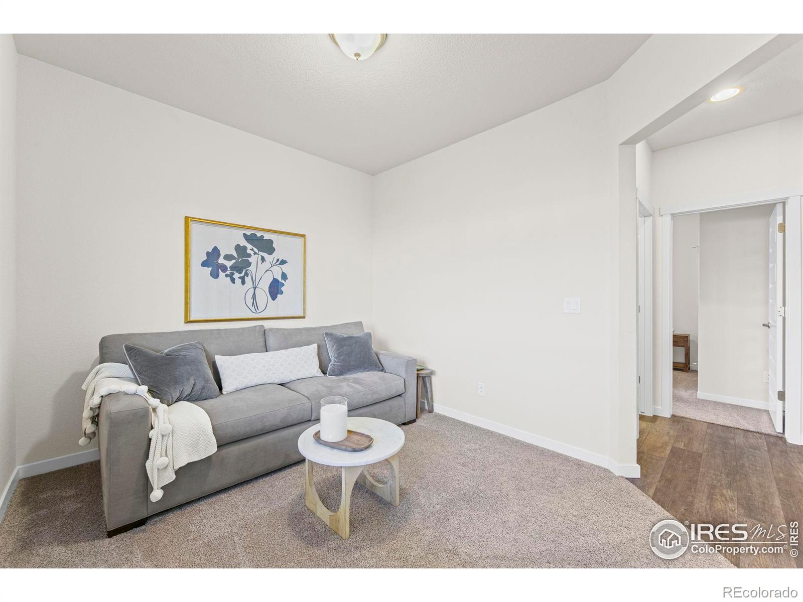 MLS Image #27 for 1139  ibex drive,severance, Colorado
