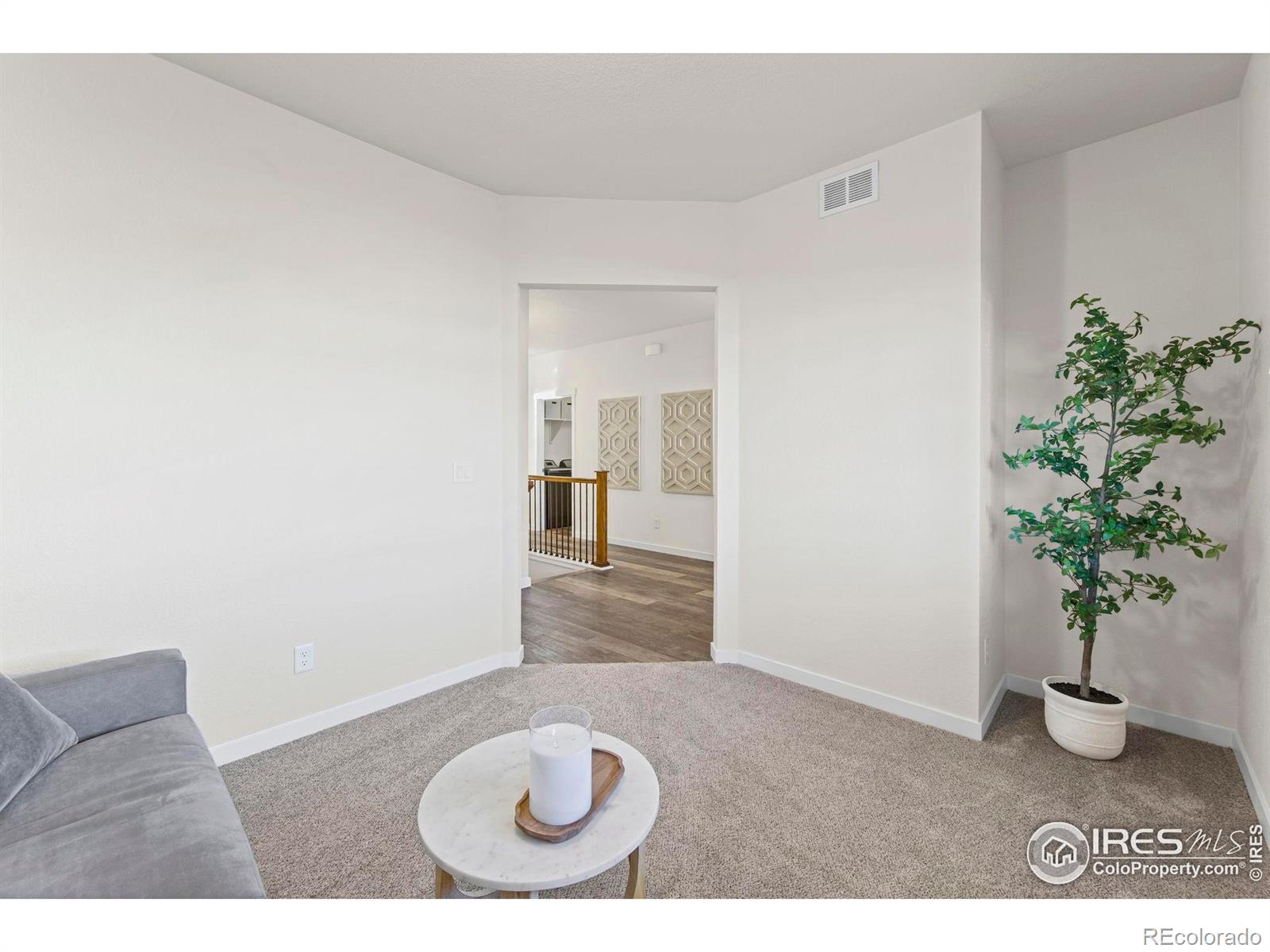 MLS Image #28 for 1139  ibex drive,severance, Colorado