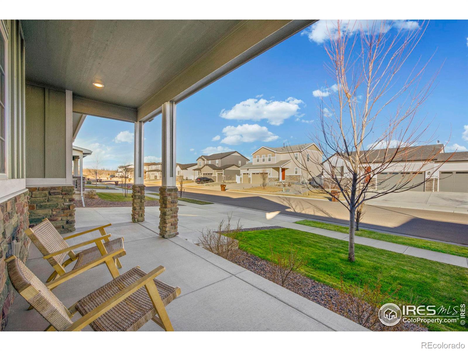 MLS Image #4 for 1139  ibex drive,severance, Colorado