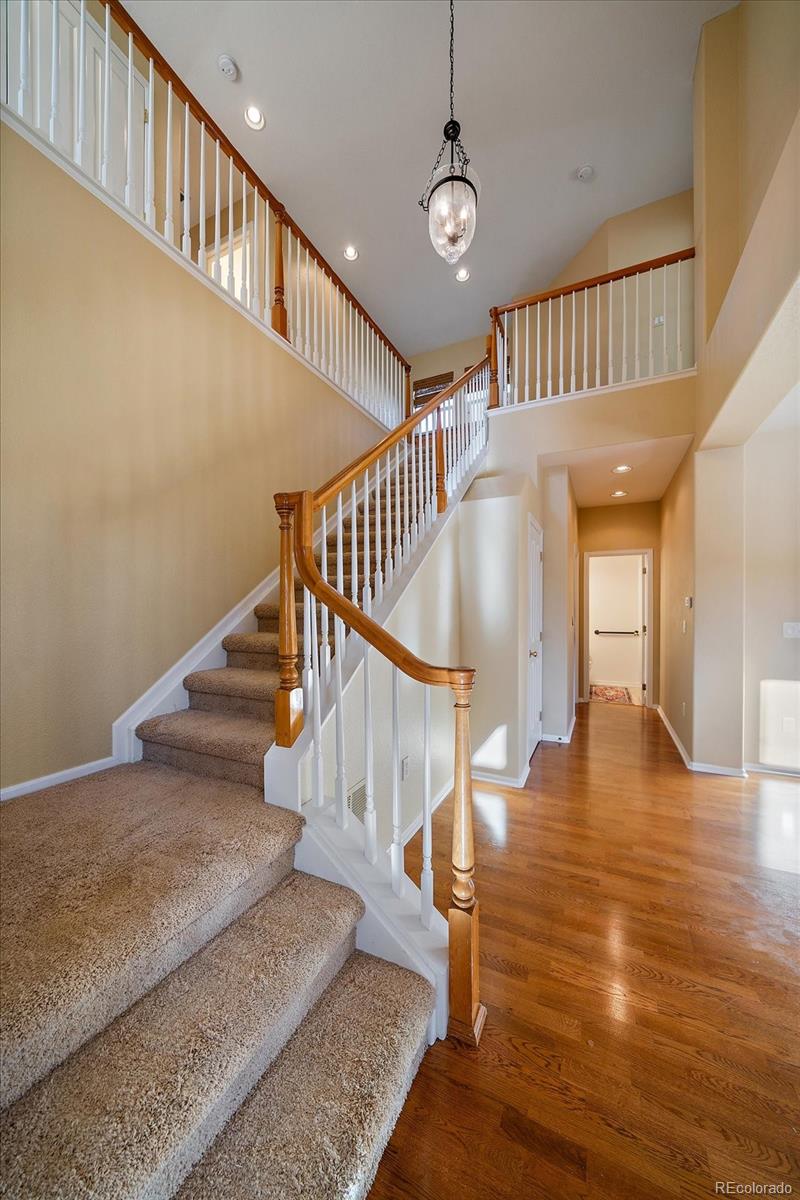 MLS Image #18 for 10582  ashfield street,highlands ranch, Colorado