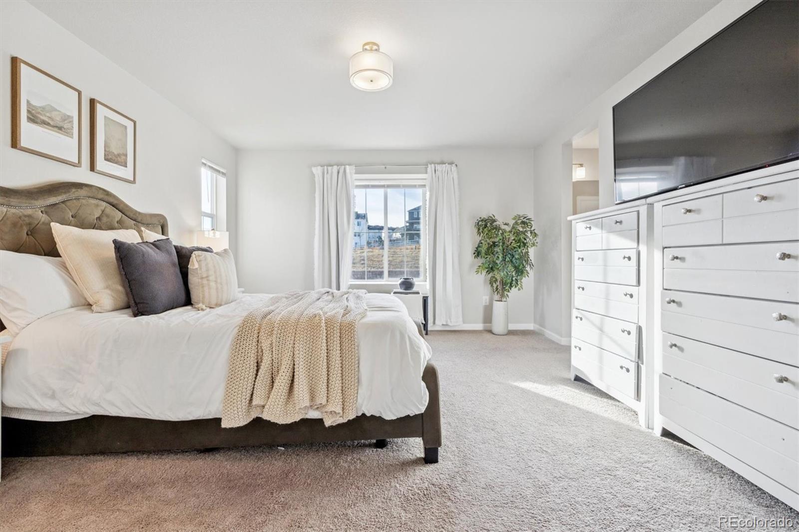 MLS Image #15 for 1955  villageview lane,castle rock, Colorado
