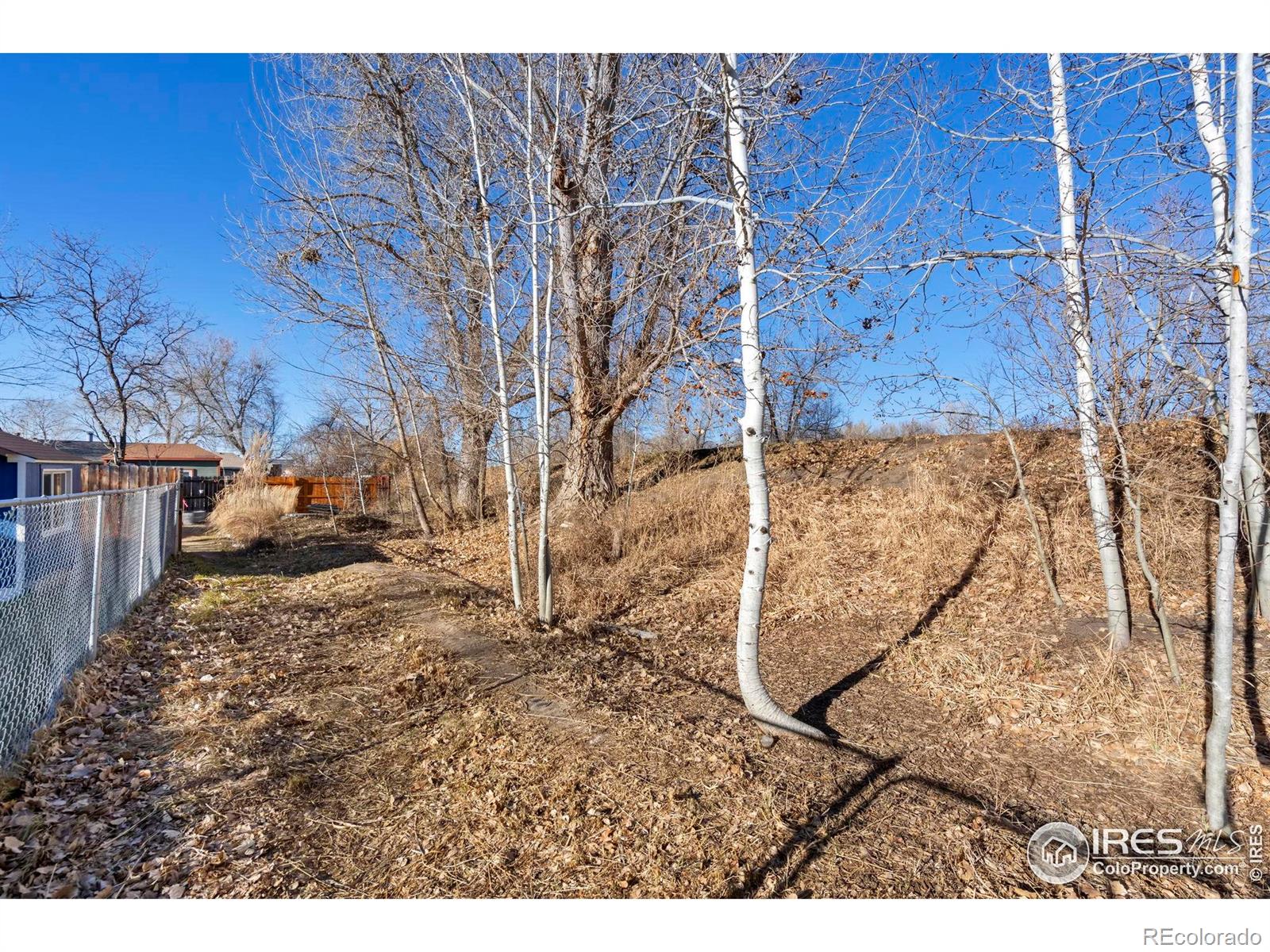 MLS Image #31 for 2720  alan street,fort collins, Colorado