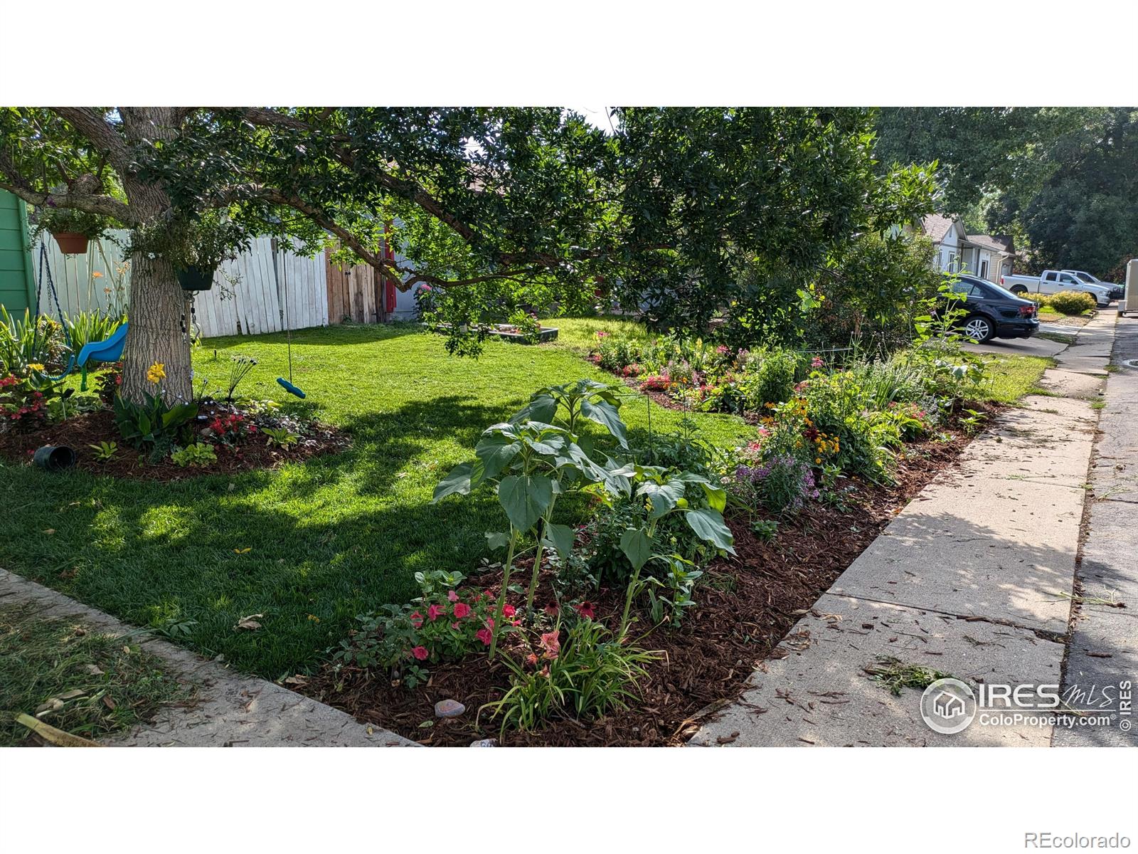 MLS Image #33 for 2720  alan street,fort collins, Colorado