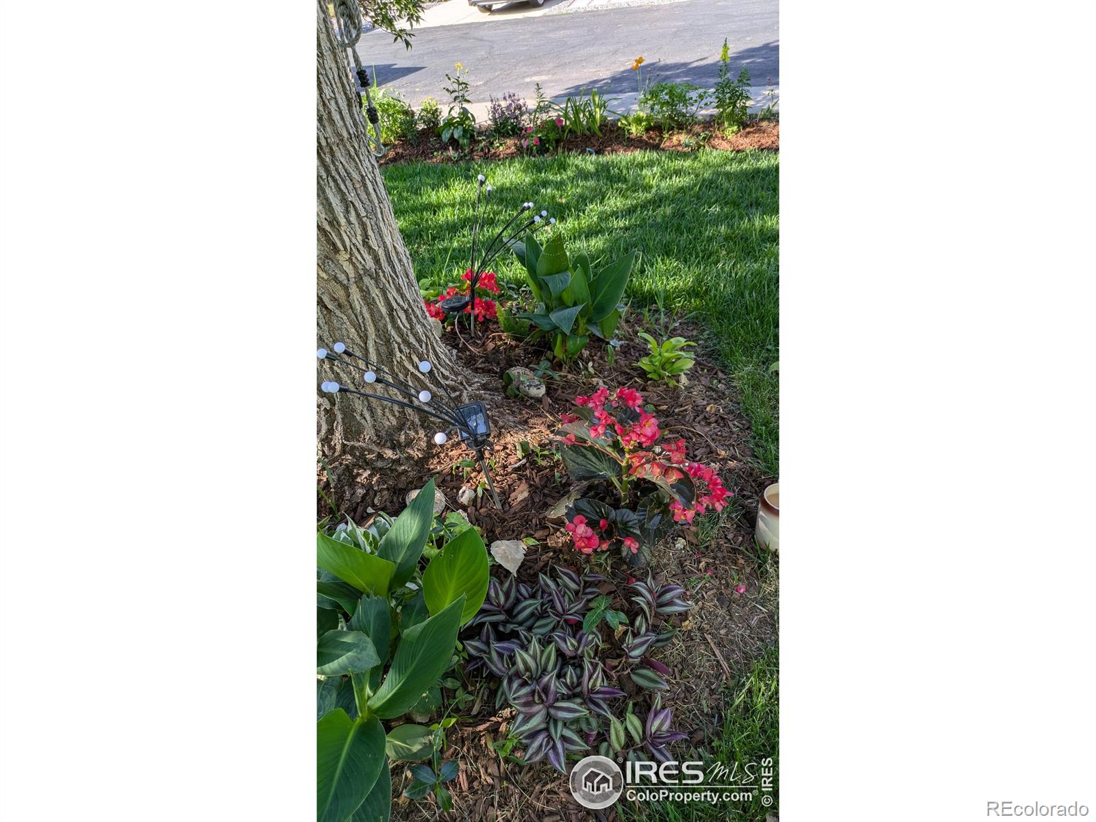 MLS Image #35 for 2720  alan street,fort collins, Colorado