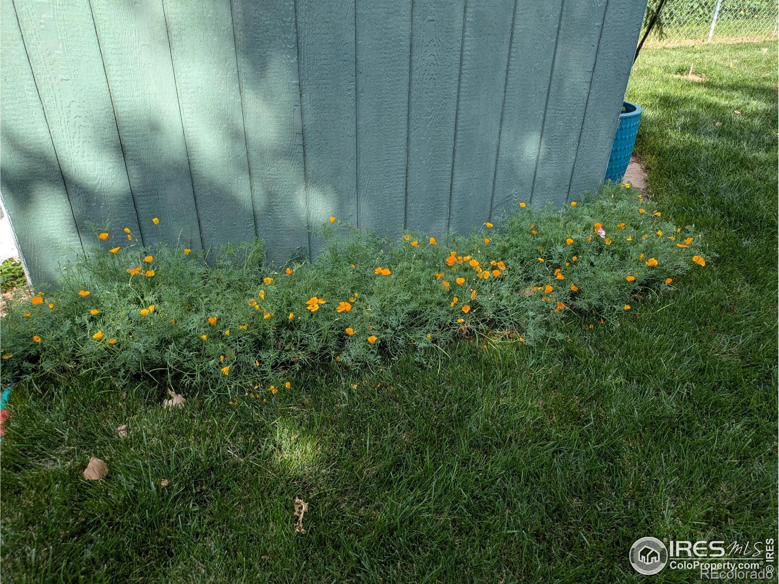 MLS Image #36 for 2720  alan street,fort collins, Colorado