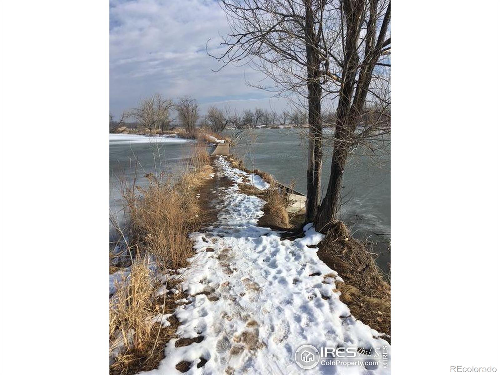 MLS Image #38 for 2720  alan street,fort collins, Colorado