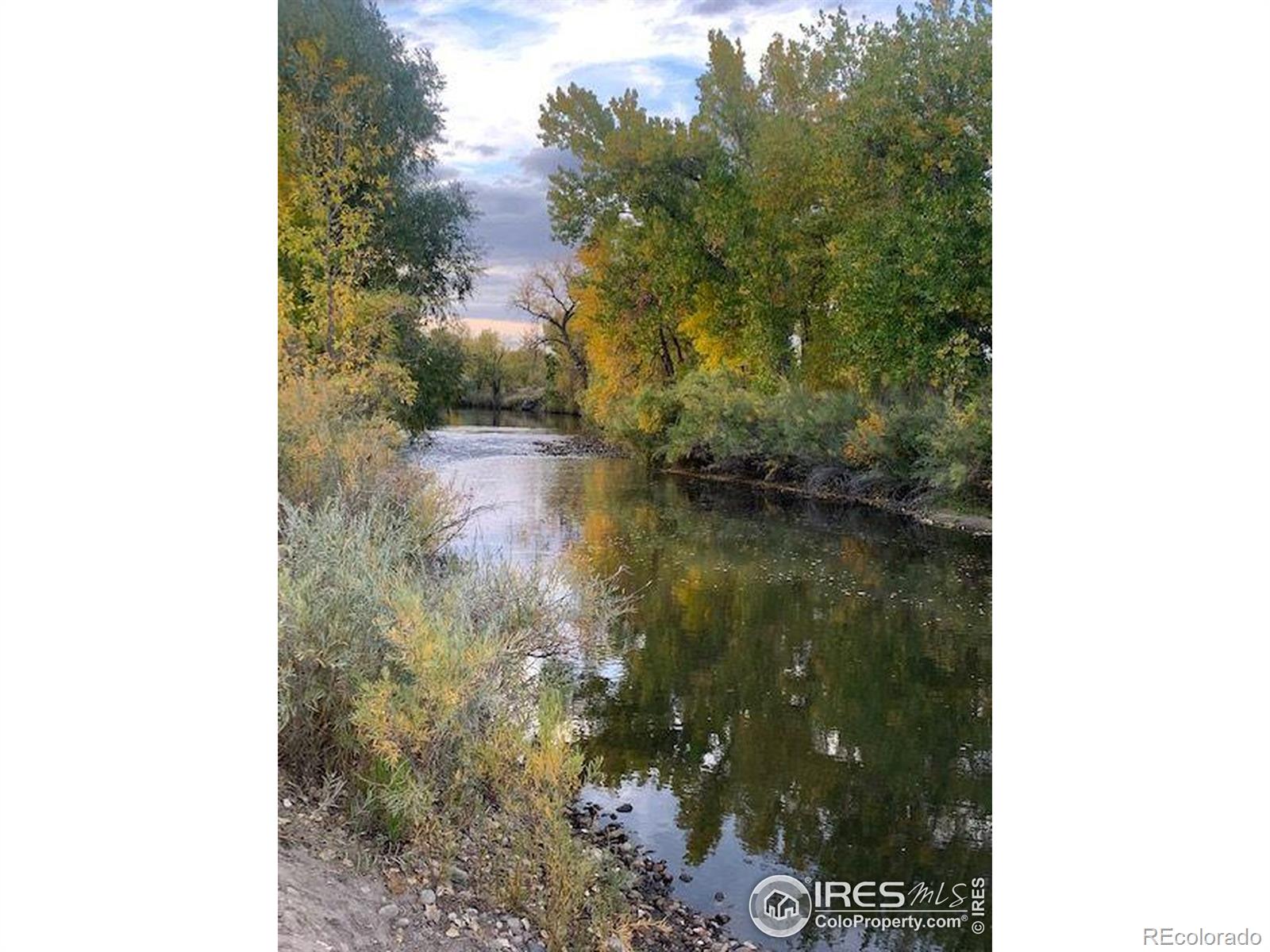 MLS Image #39 for 2720  alan street,fort collins, Colorado