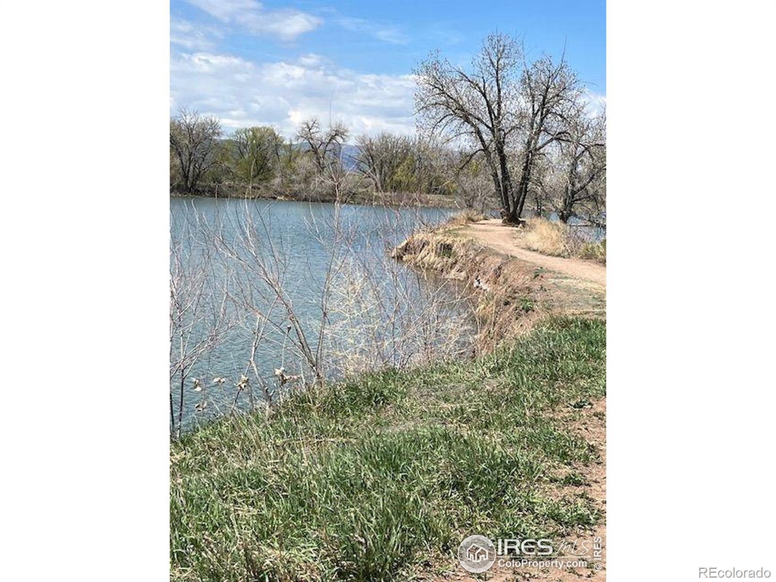 MLS Image #41 for 2720  alan street,fort collins, Colorado