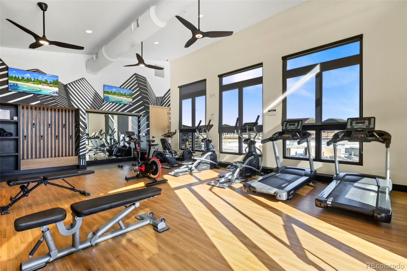 MLS Image #20 for 190  starlight circle,erie, Colorado