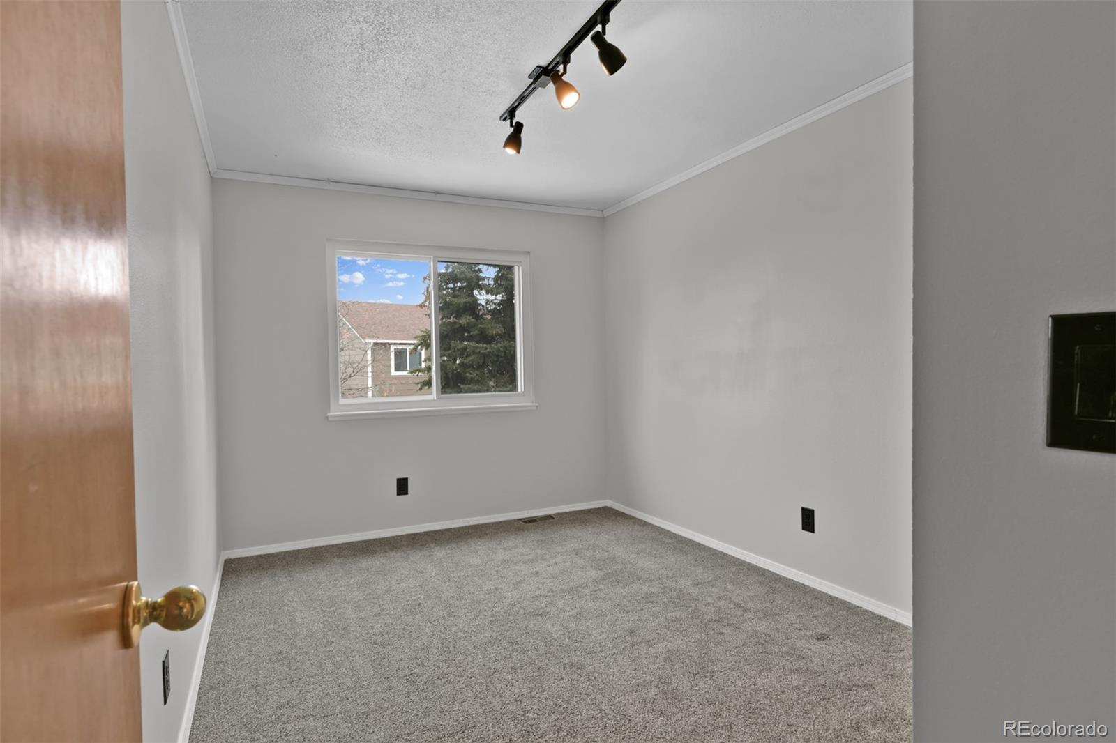 MLS Image #28 for 5350  paradox drive,colorado springs, Colorado