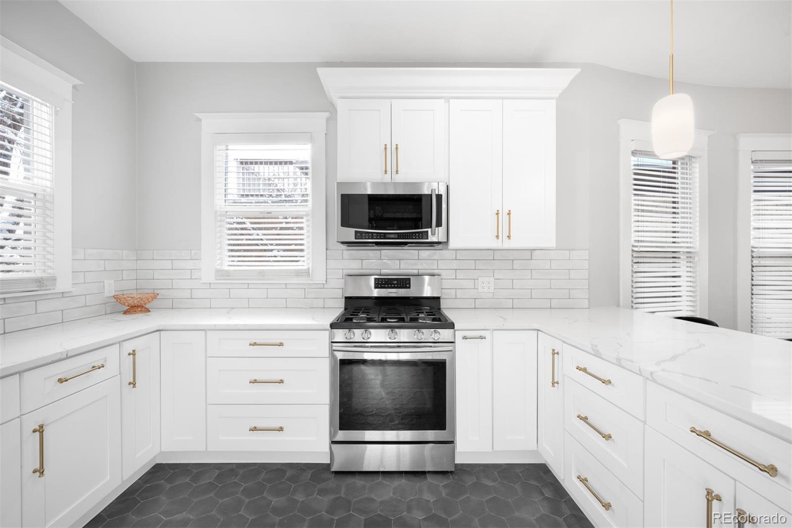 MLS Image #10 for 2986  grove street,denver, Colorado