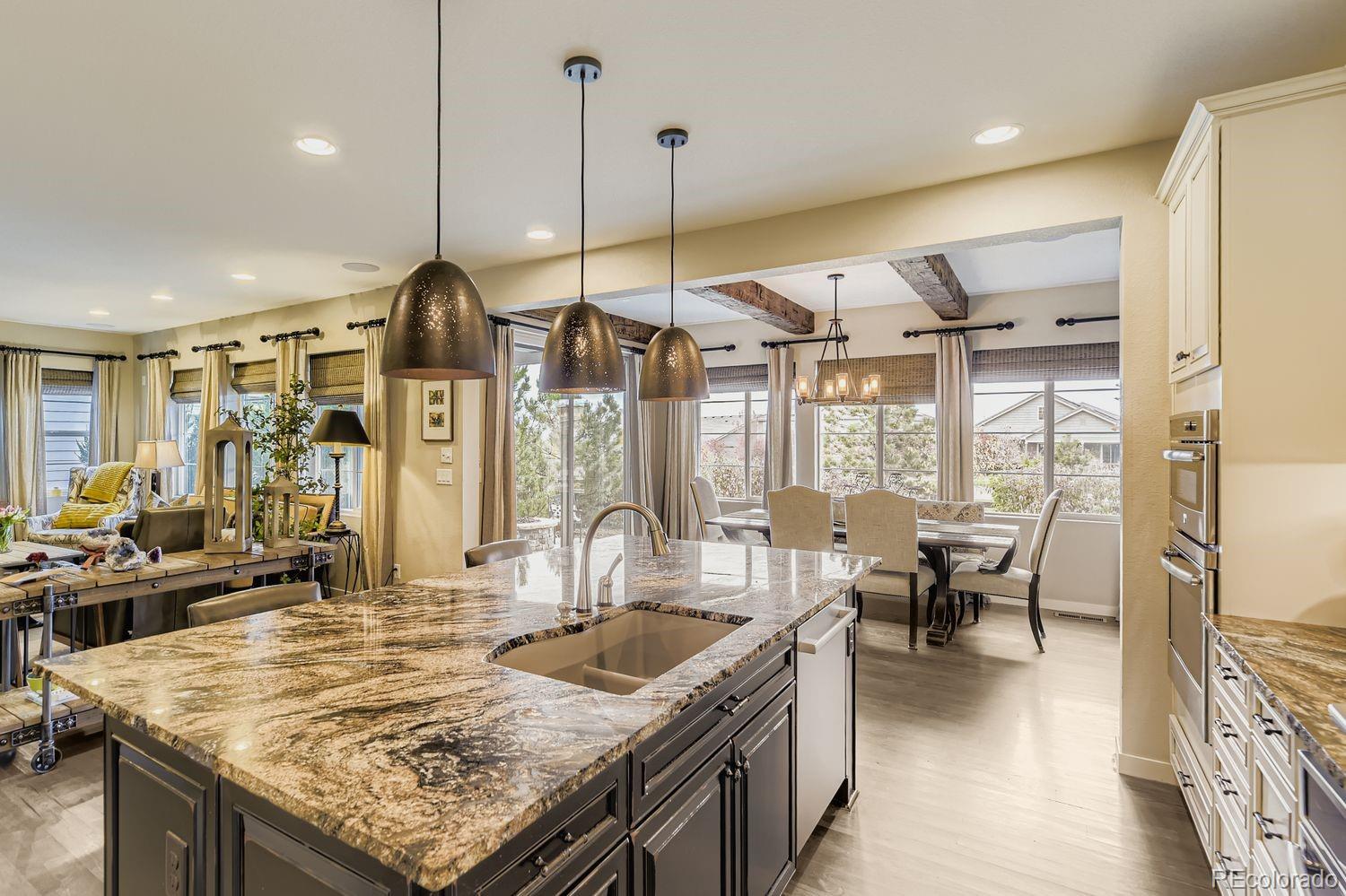 MLS Image #10 for 14101  yellow tip drive,parker, Colorado
