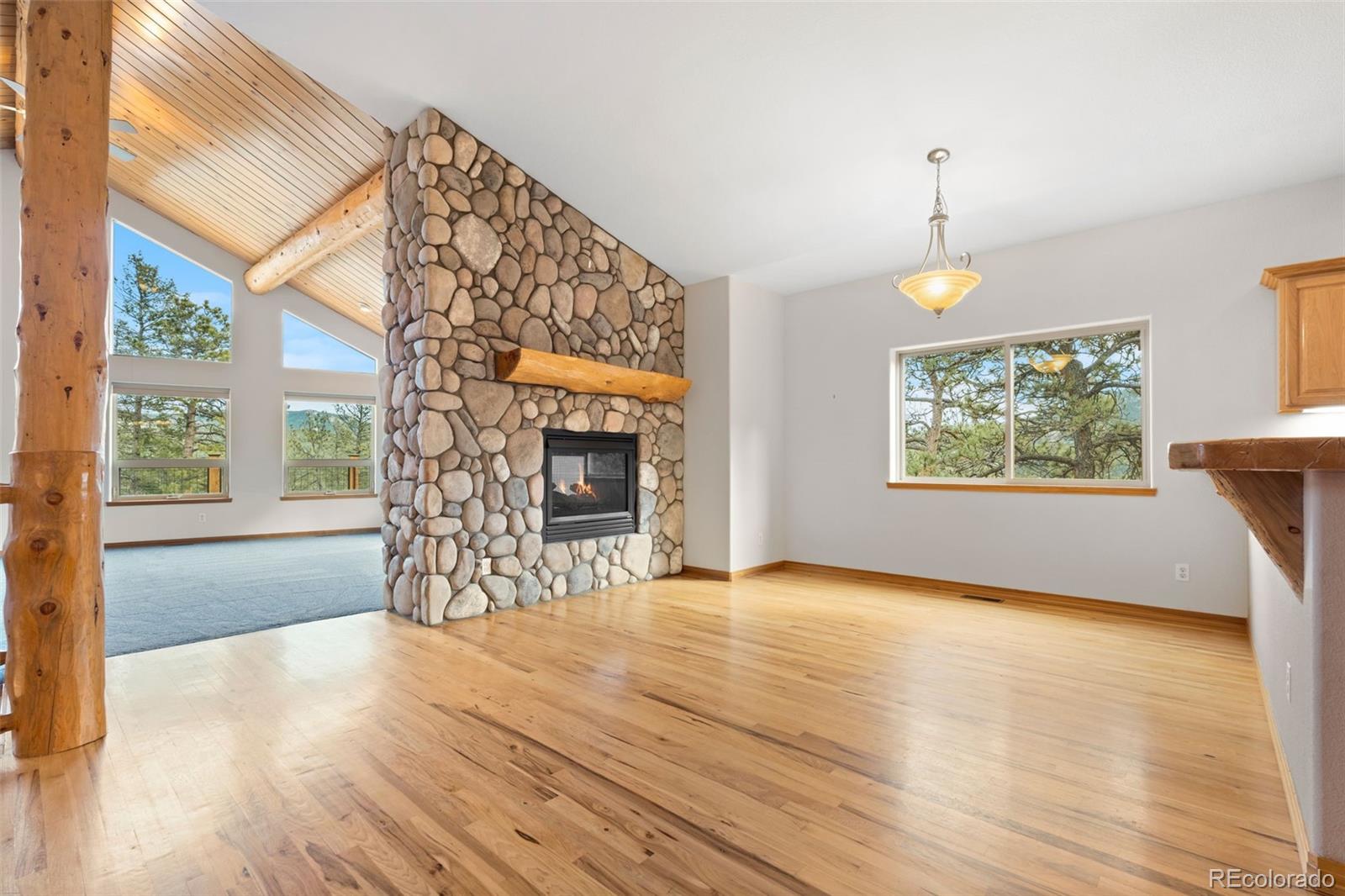 MLS Image #13 for 29004  amerind springs ,pine, Colorado