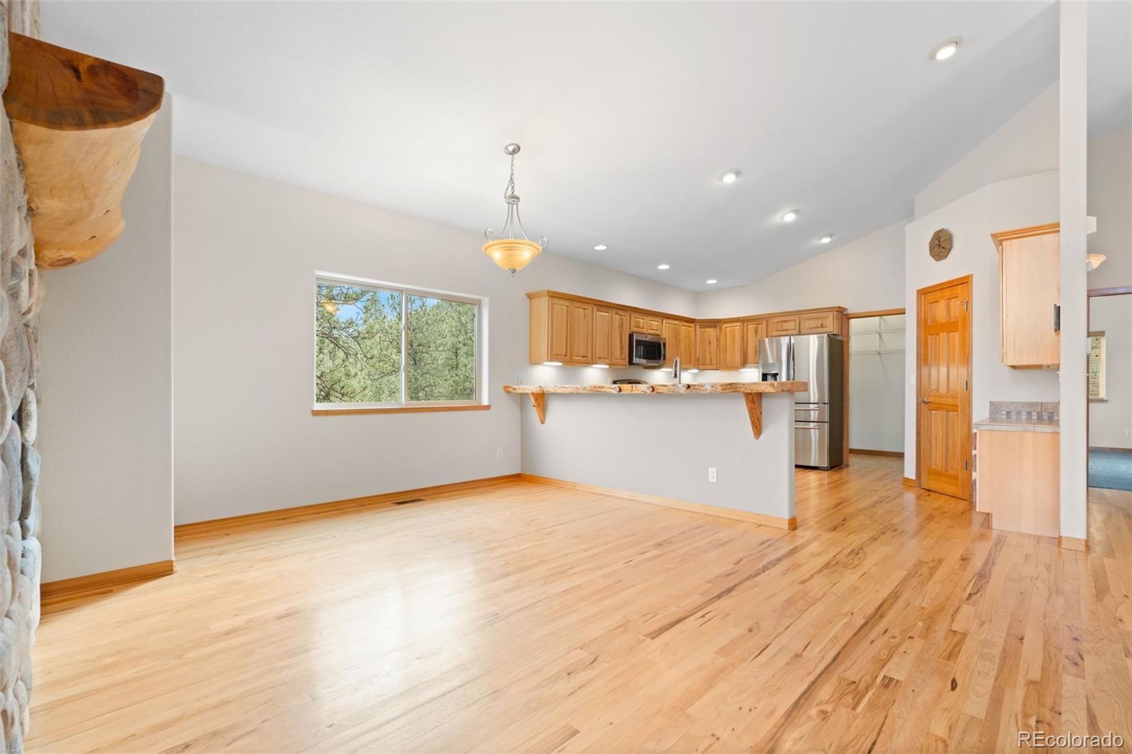MLS Image #14 for 29004  amerind springs ,pine, Colorado