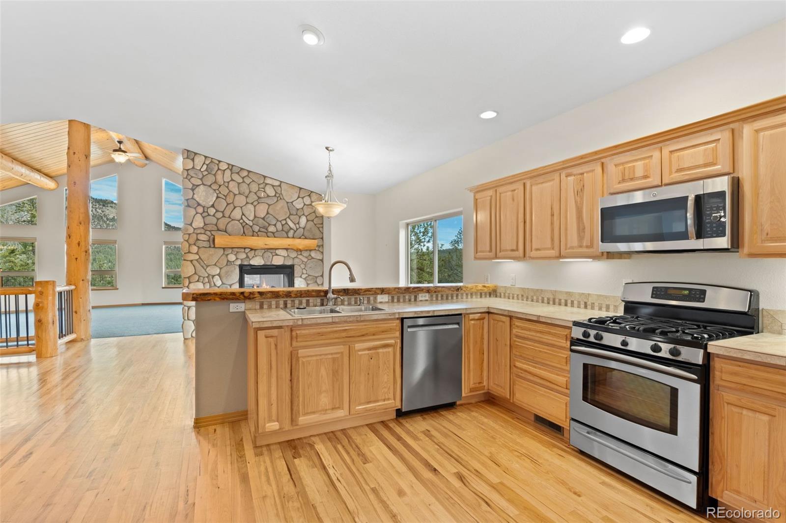MLS Image #15 for 29004  amerind springs ,pine, Colorado