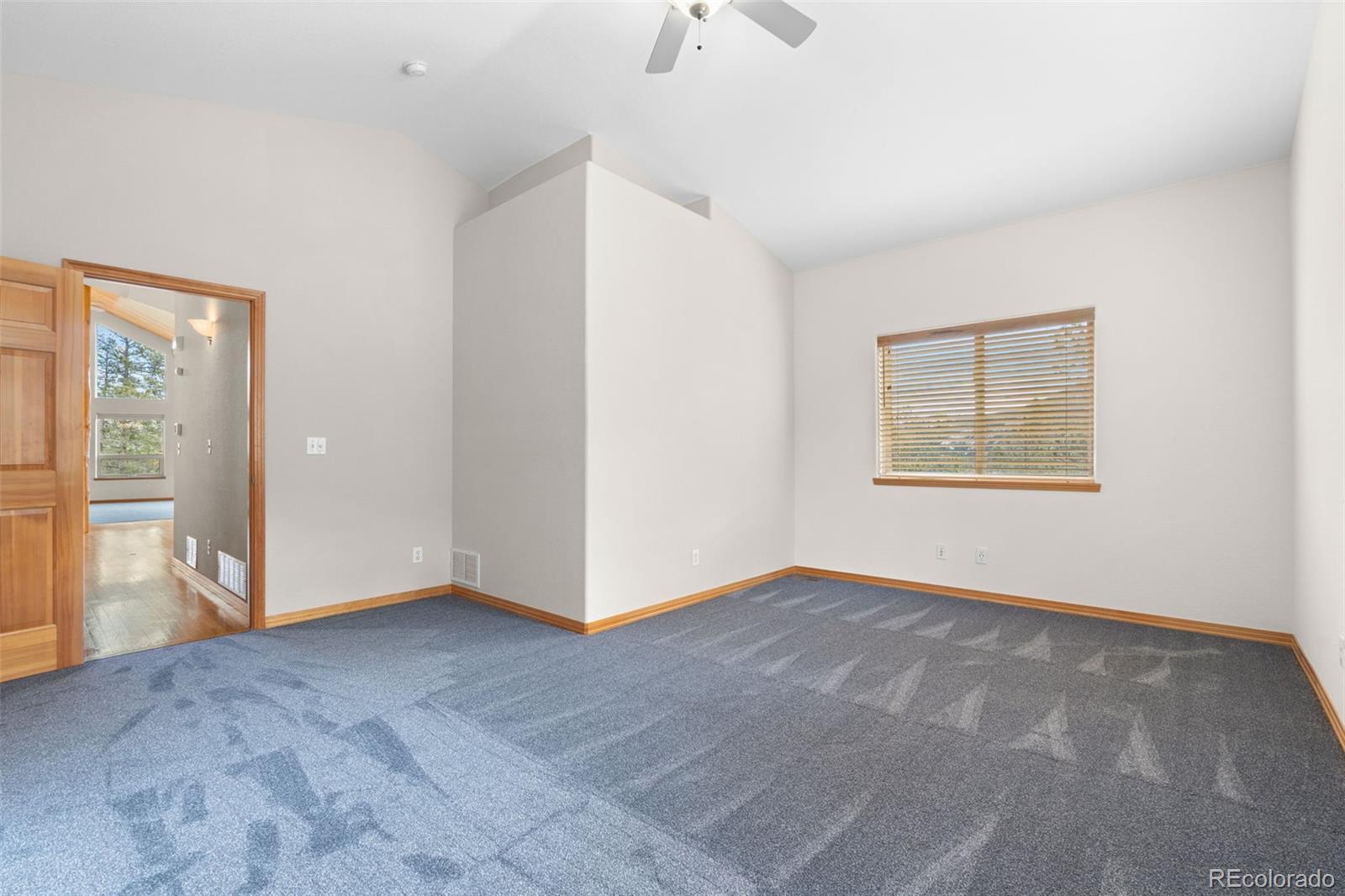 MLS Image #18 for 29004  amerind springs ,pine, Colorado
