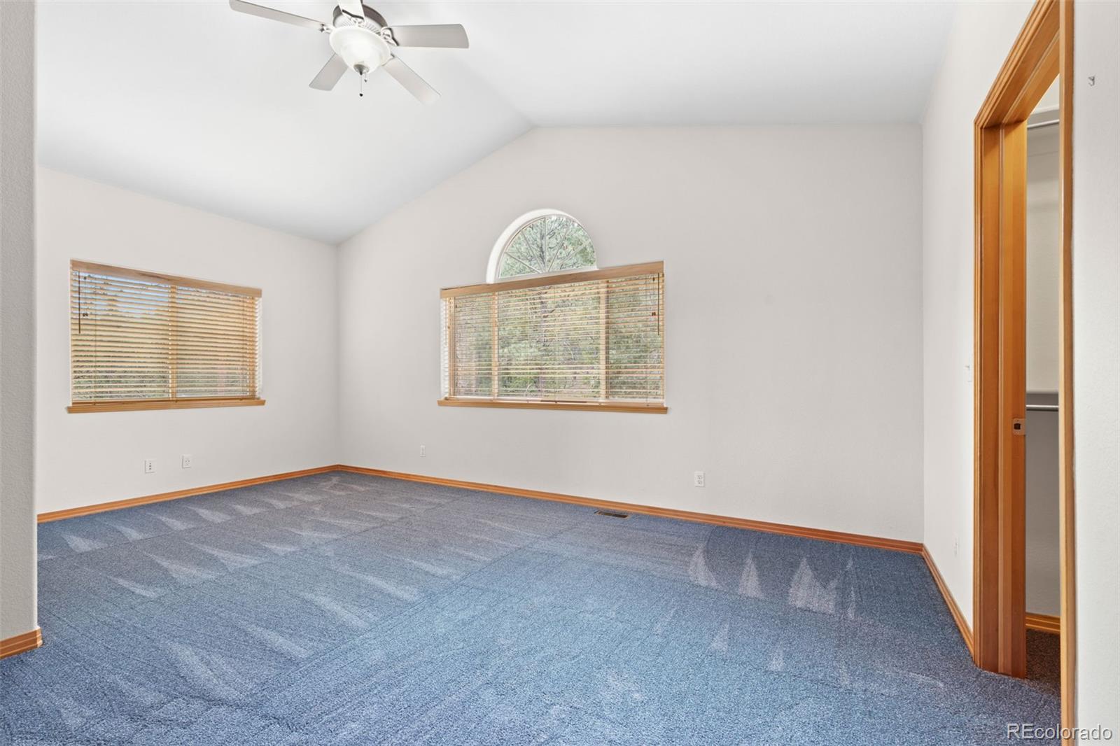 MLS Image #19 for 29004  amerind springs ,pine, Colorado