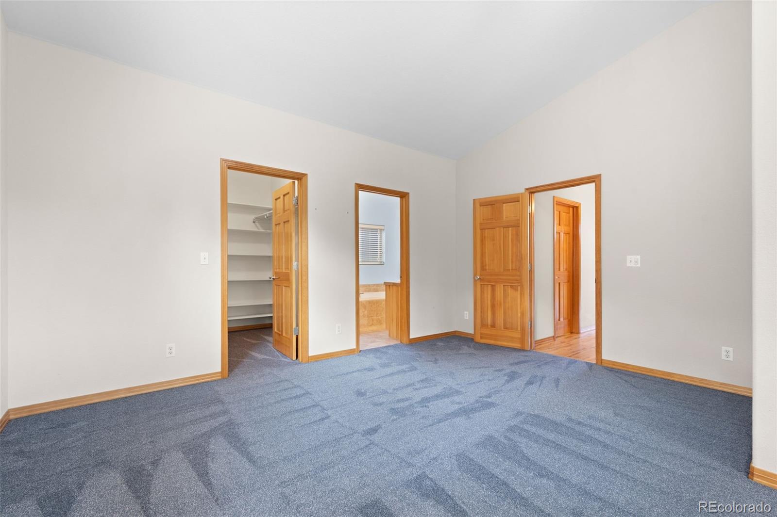 MLS Image #20 for 29004  amerind springs ,pine, Colorado