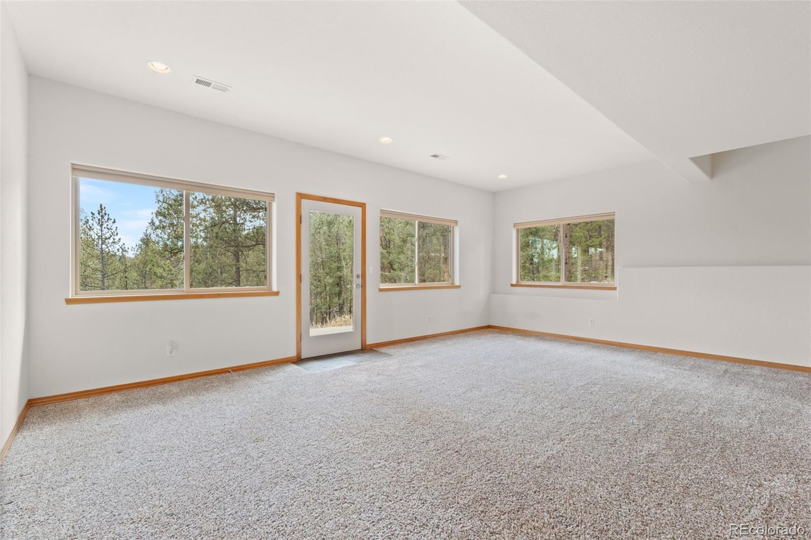 MLS Image #26 for 29004  amerind springs ,pine, Colorado