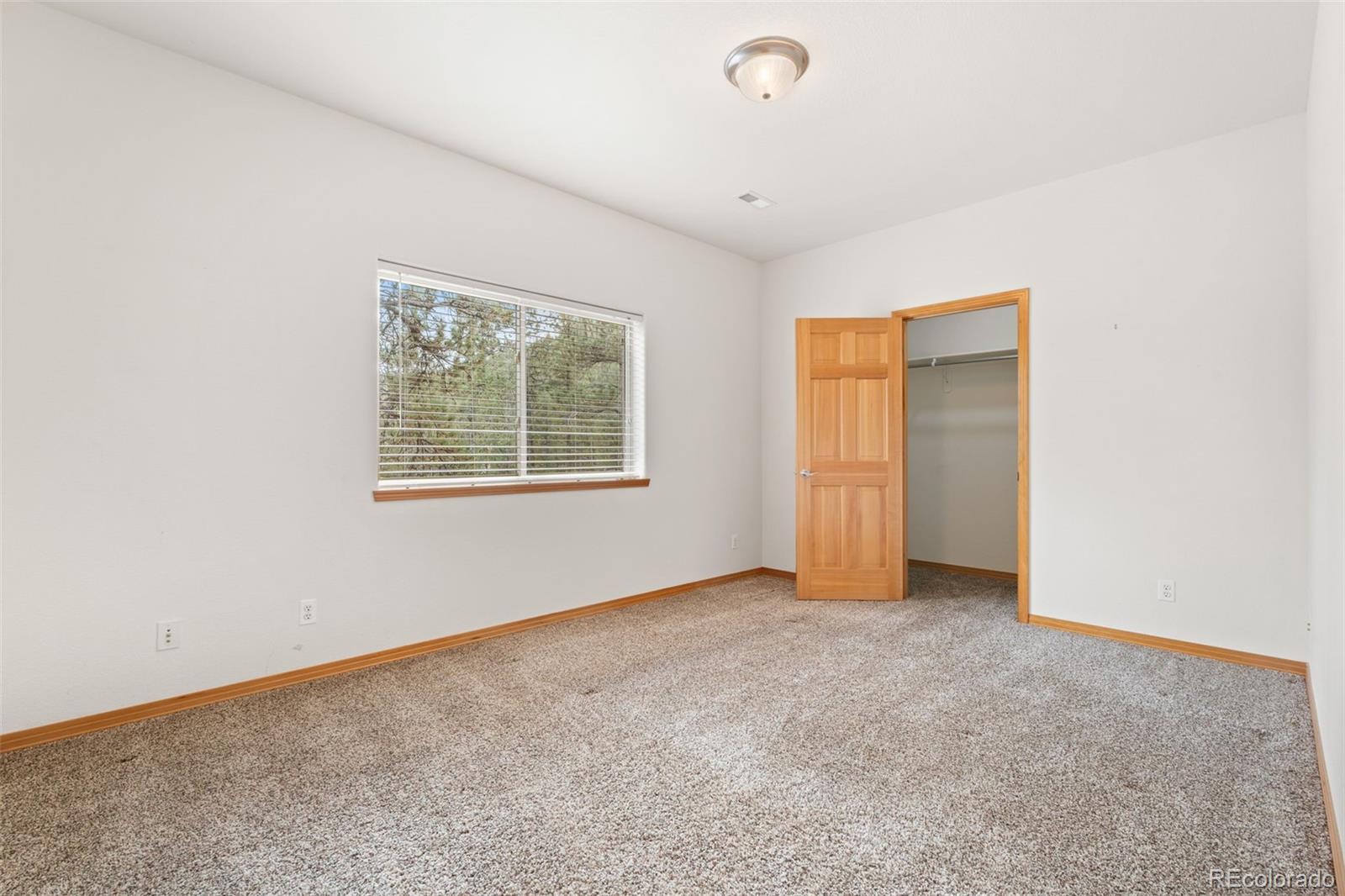 MLS Image #27 for 29004  amerind springs ,pine, Colorado