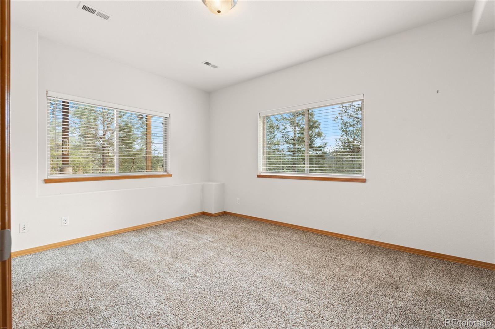 MLS Image #28 for 29004  amerind springs ,pine, Colorado
