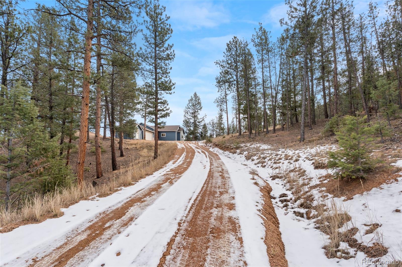 MLS Image #35 for 29004  amerind springs ,pine, Colorado