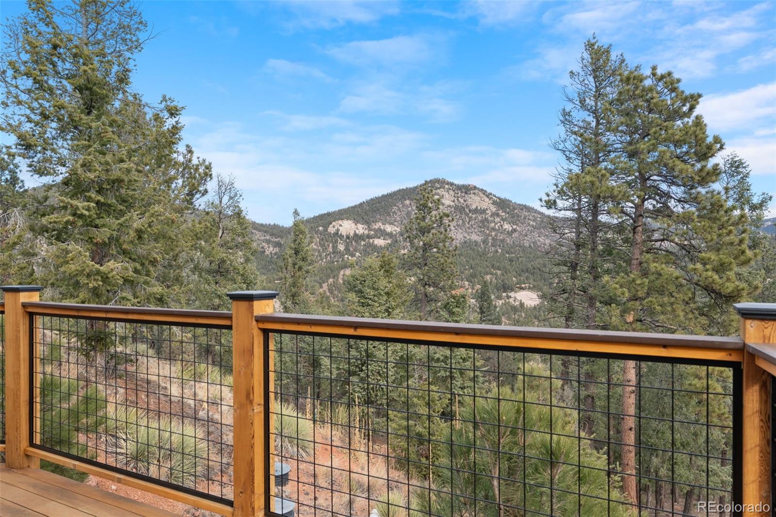 MLS Image #37 for 29004  amerind springs ,pine, Colorado