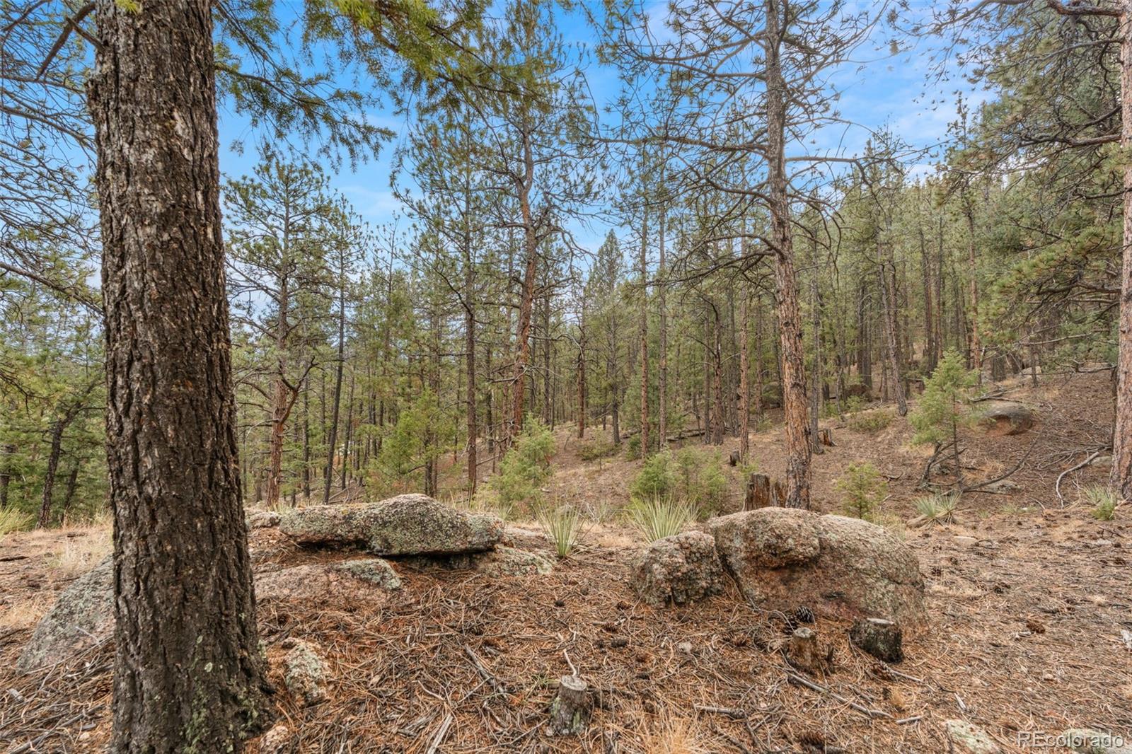 MLS Image #41 for 29004  amerind springs ,pine, Colorado
