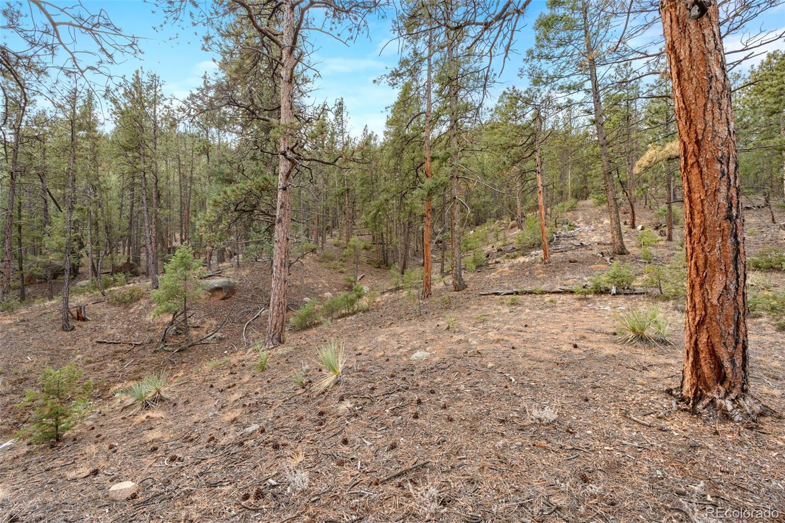 MLS Image #42 for 29004  amerind springs ,pine, Colorado