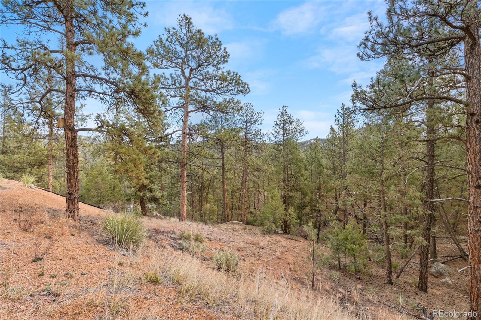 MLS Image #43 for 29004  amerind springs ,pine, Colorado