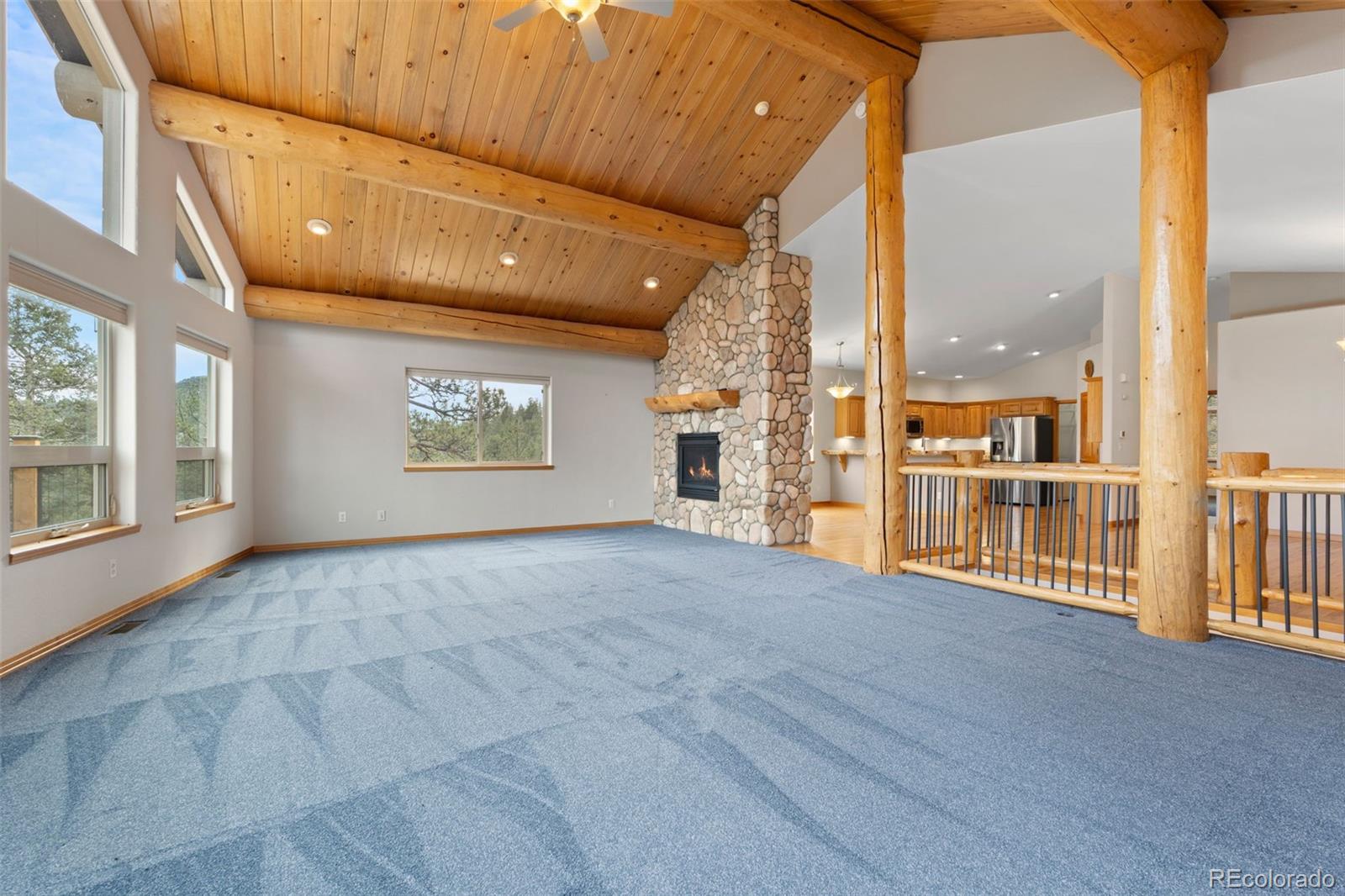 MLS Image #6 for 29004  amerind springs ,pine, Colorado