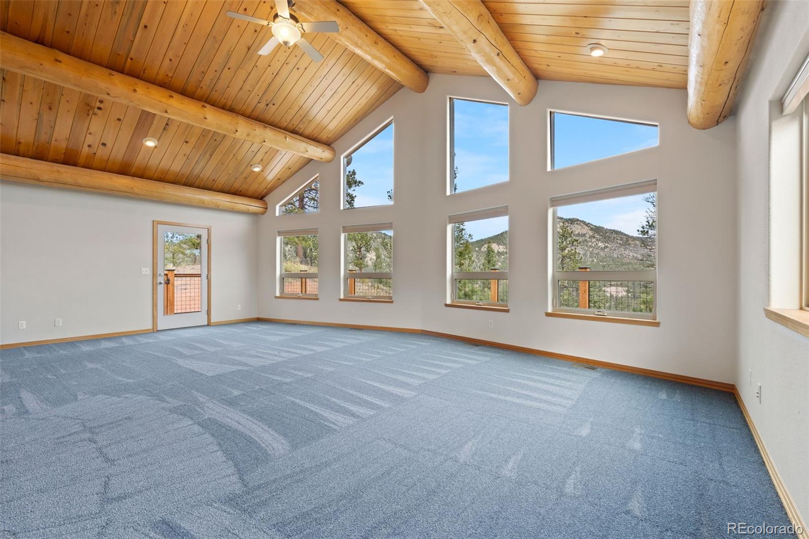 MLS Image #7 for 29004  amerind springs ,pine, Colorado