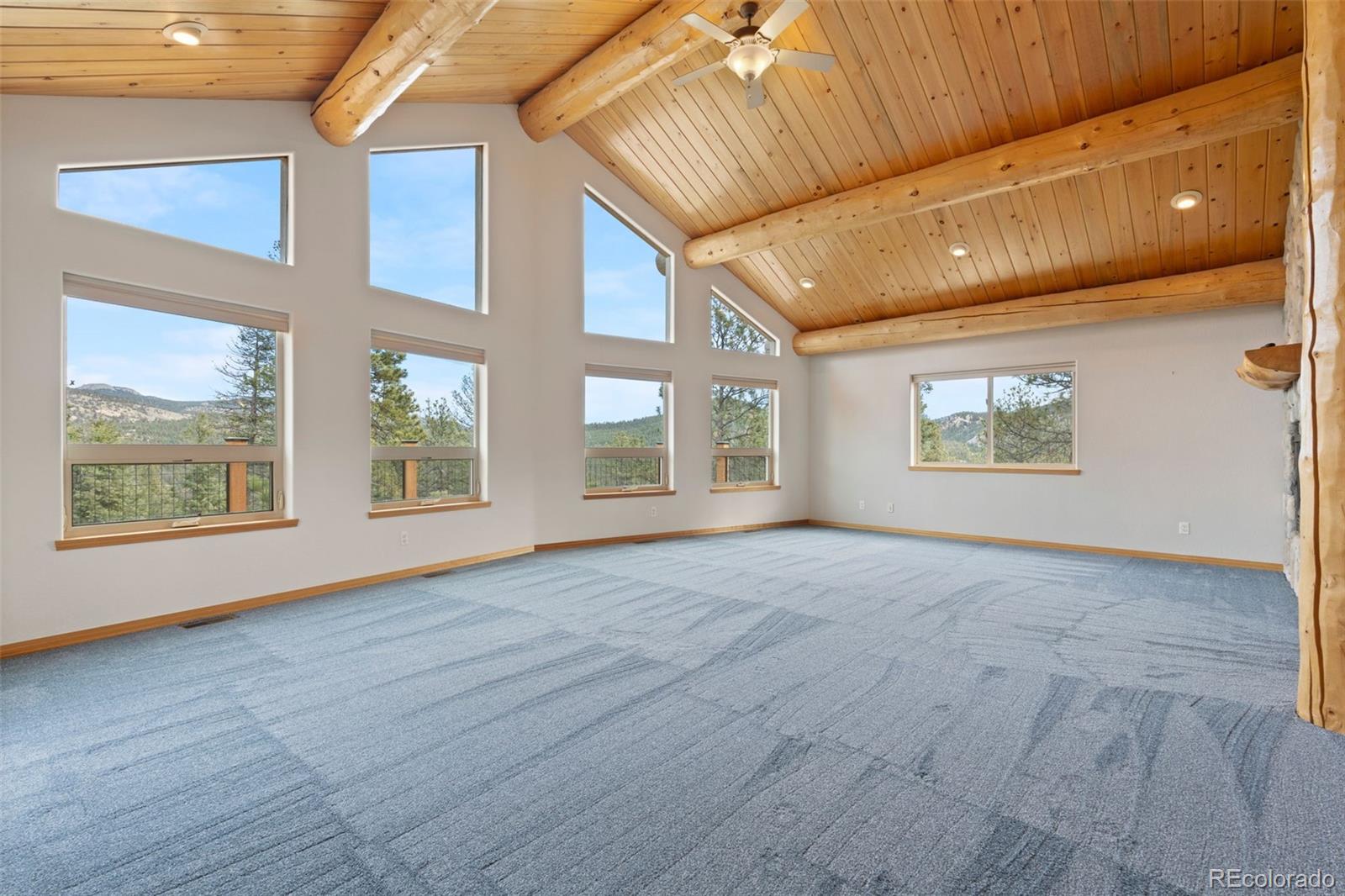 MLS Image #8 for 29004  amerind springs ,pine, Colorado