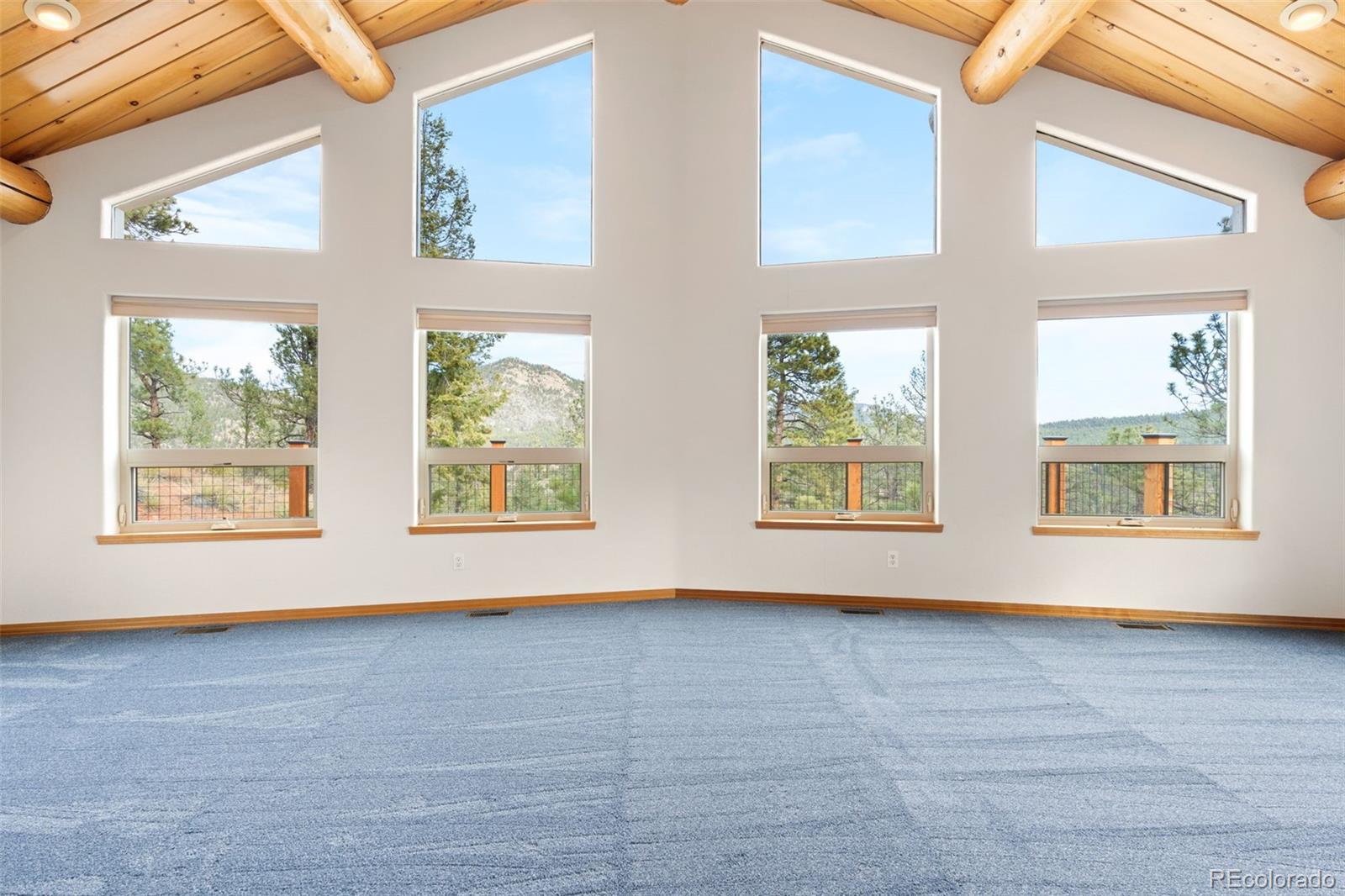 MLS Image #9 for 29004  amerind springs ,pine, Colorado