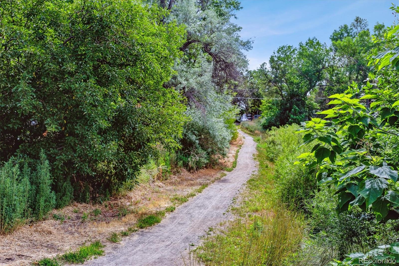 MLS Image #29 for 2520 s jackson street,denver, Colorado