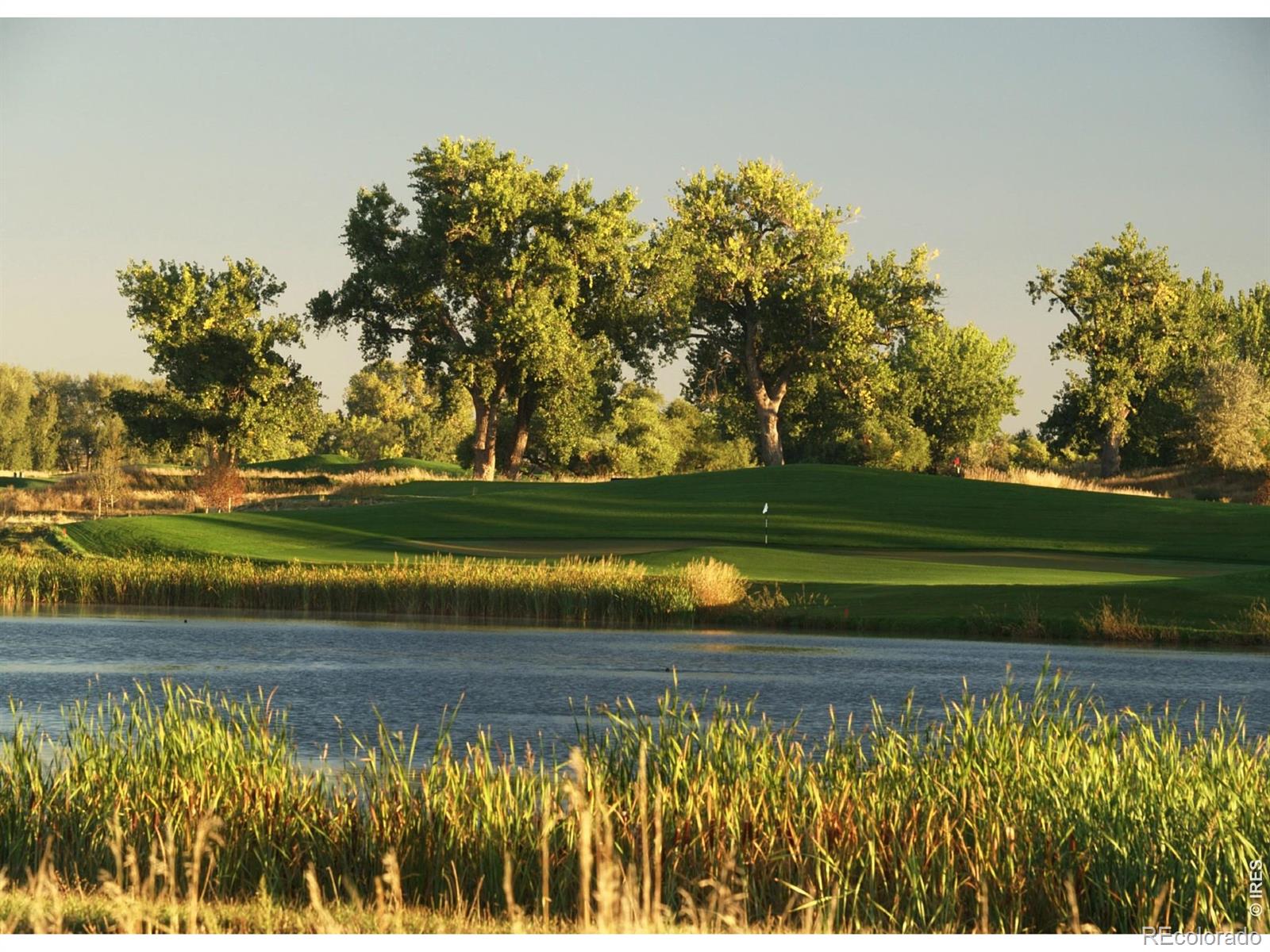 MLS Image #36 for 4268  ardglass lane,timnath, Colorado